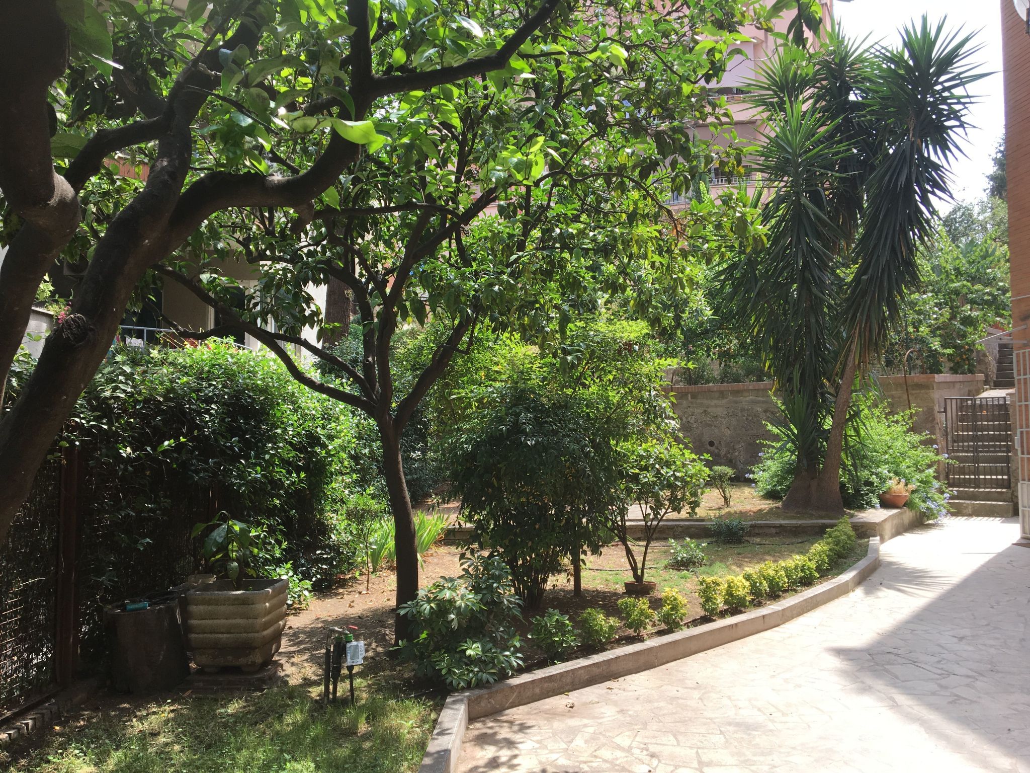 'Metropolitan Oasis-Image-tags.info