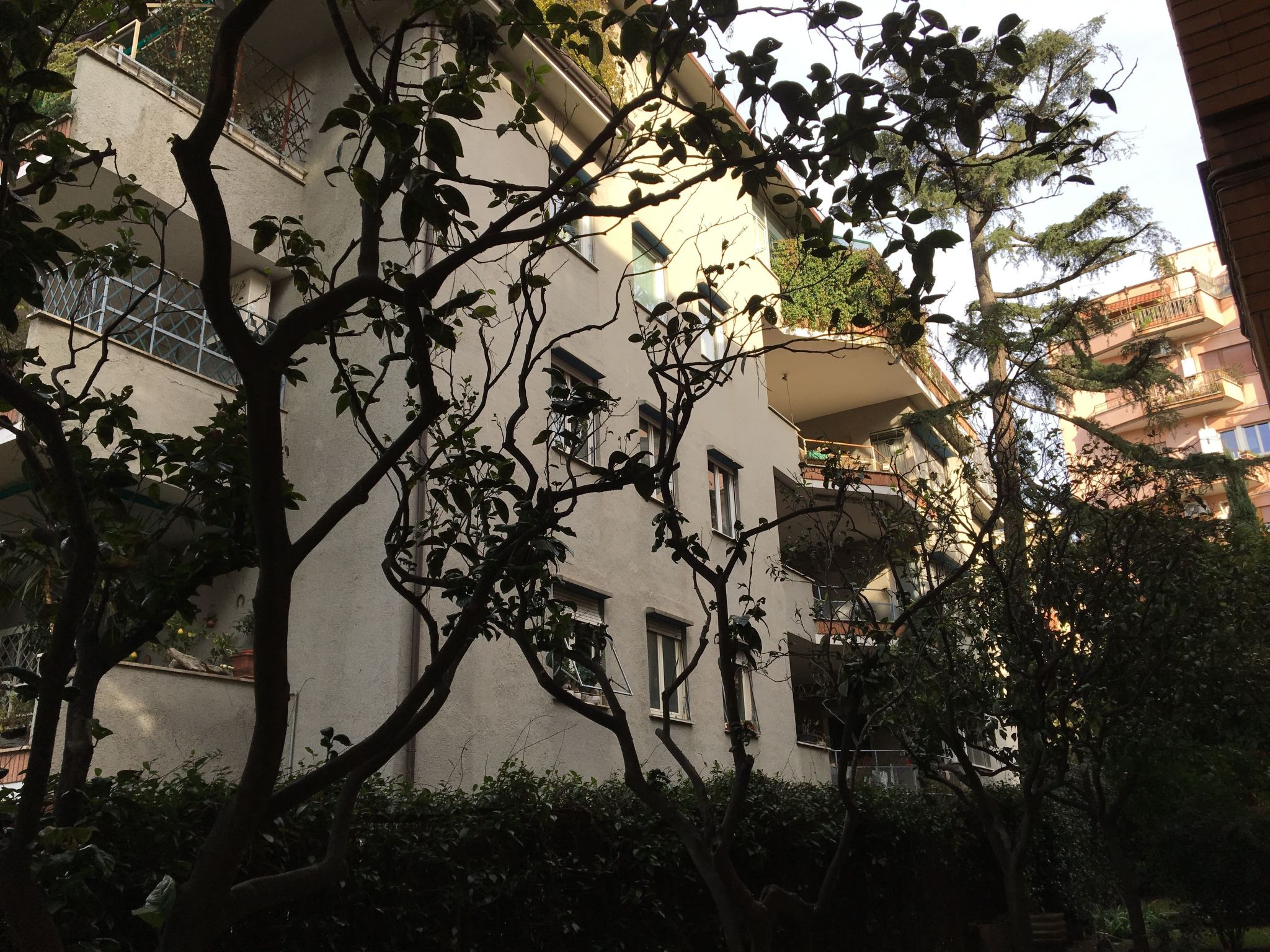 'Metropolitan Oasis-Image-tags.info