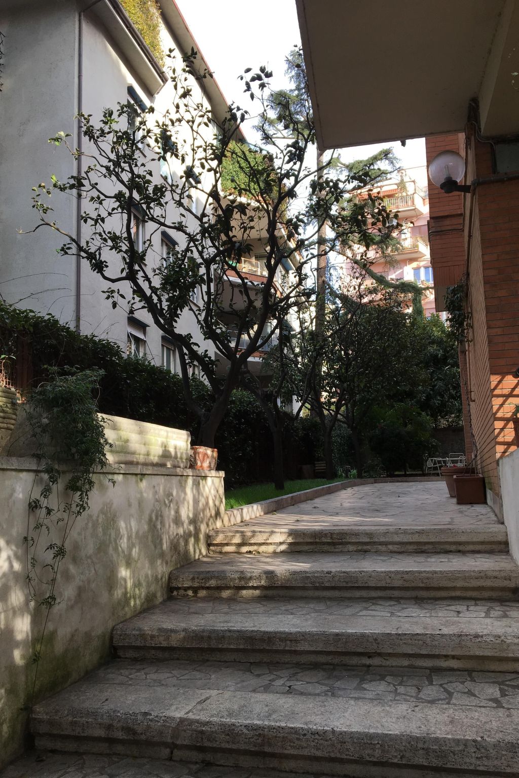 'Metropolitan Oasis-Image-tags.info