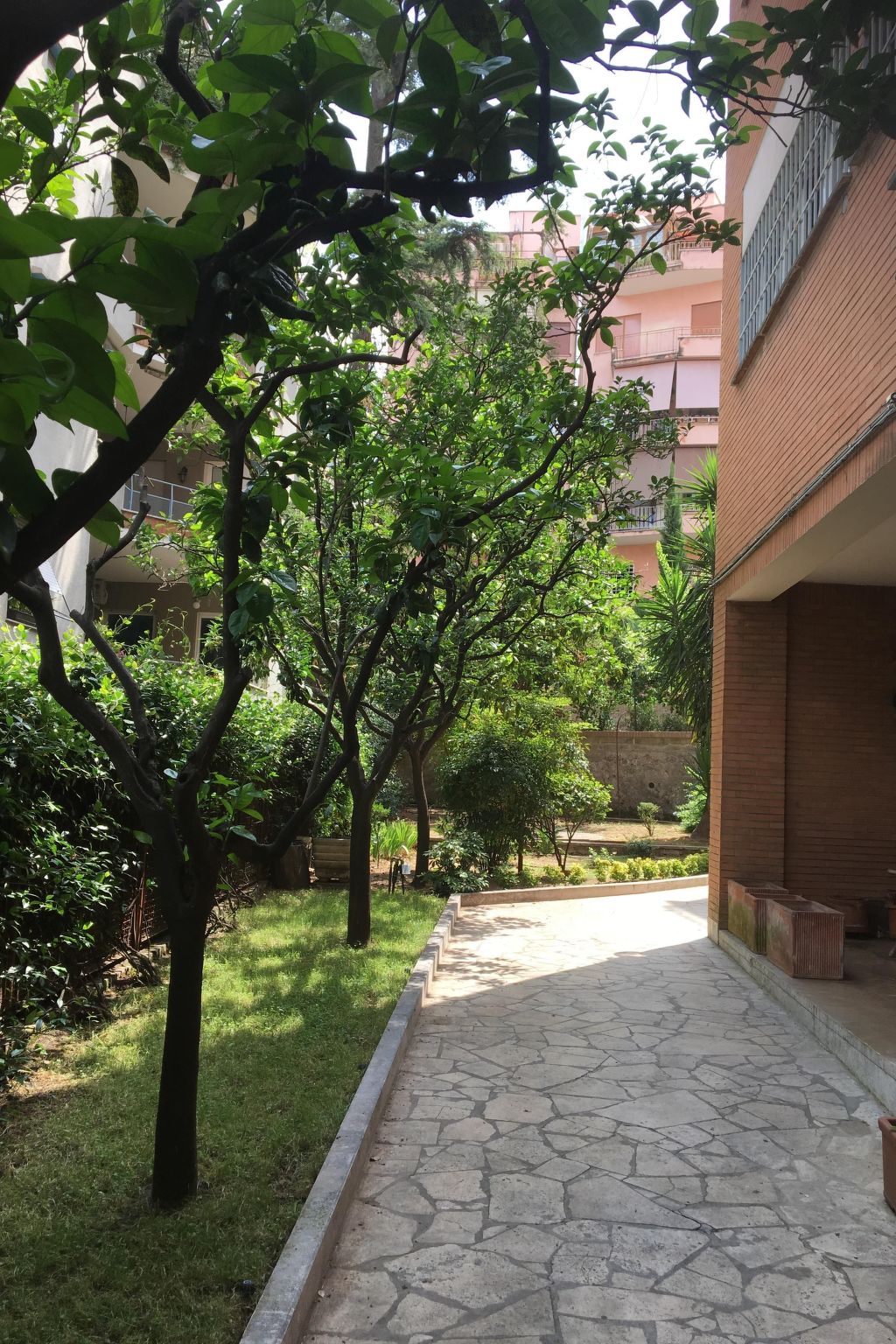 'Metropolitan Oasis-Image-tags.info