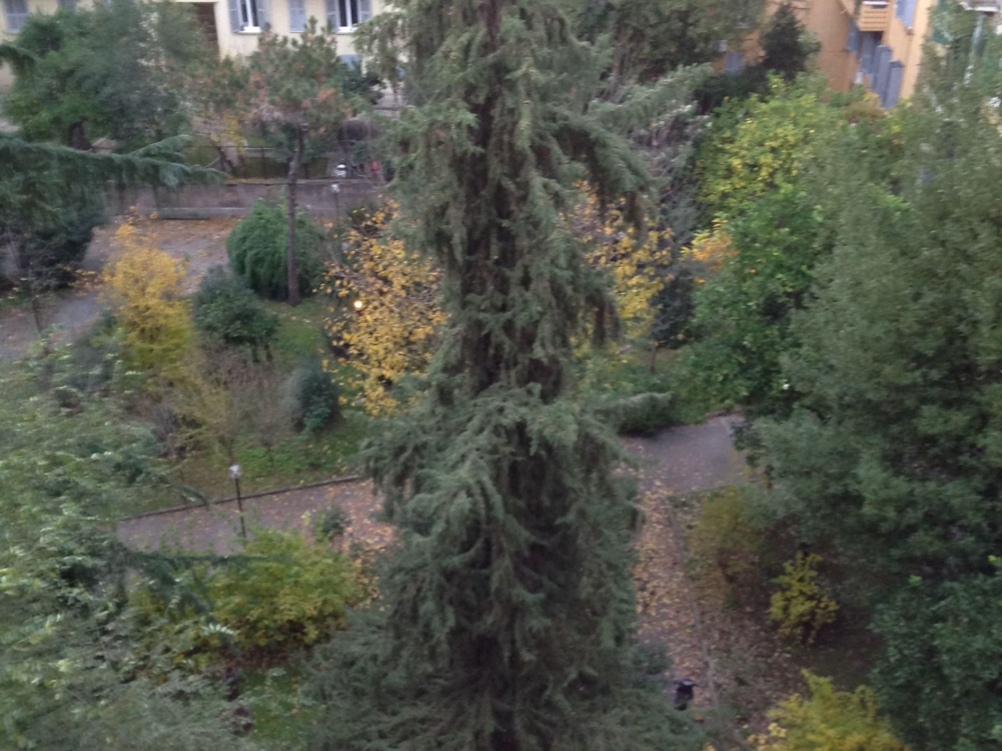 Wohnung in Rione Xv Esquilino-Binnen