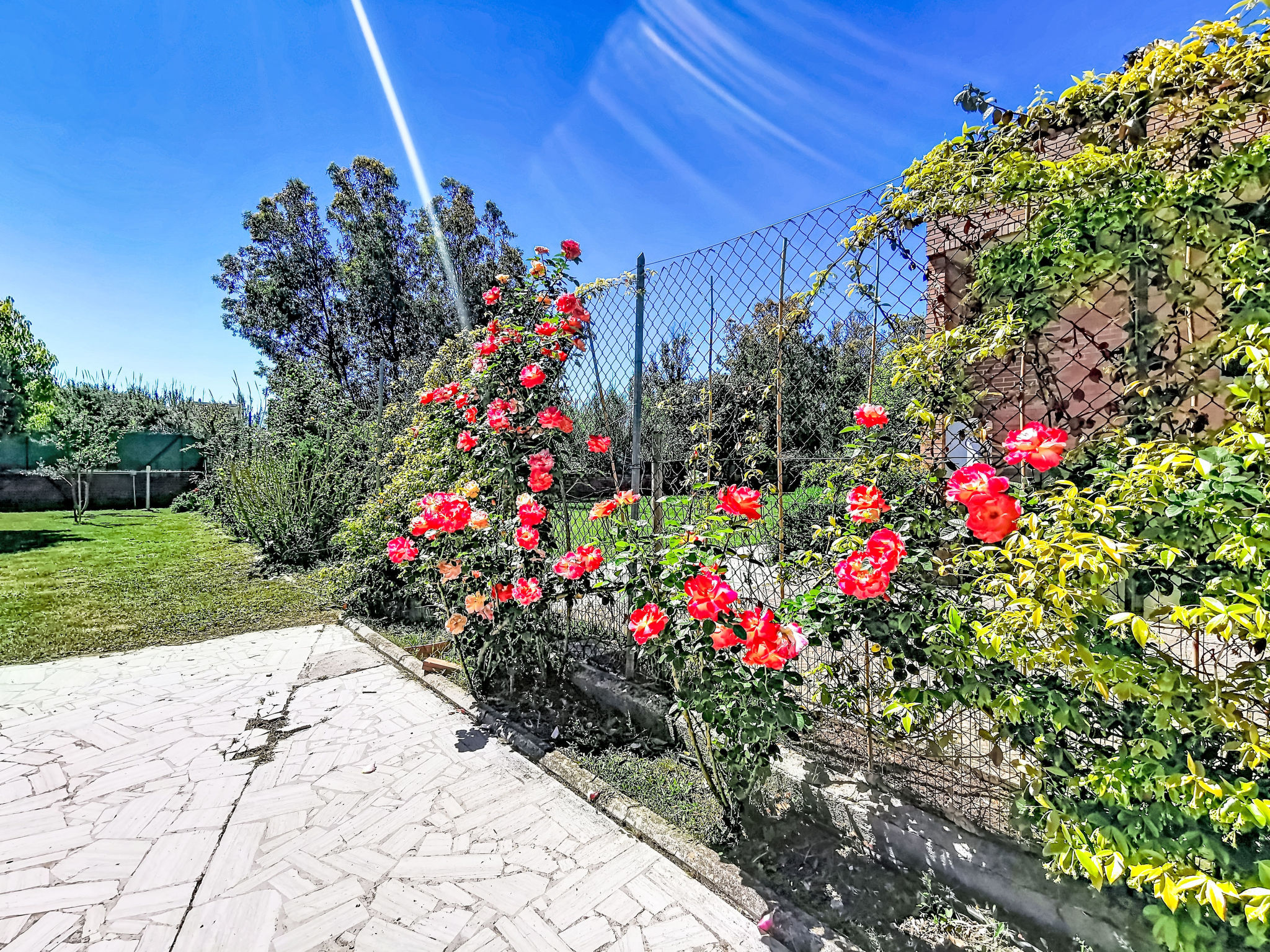 VILLAGGIO GIORNALISTI 21 - Buiten