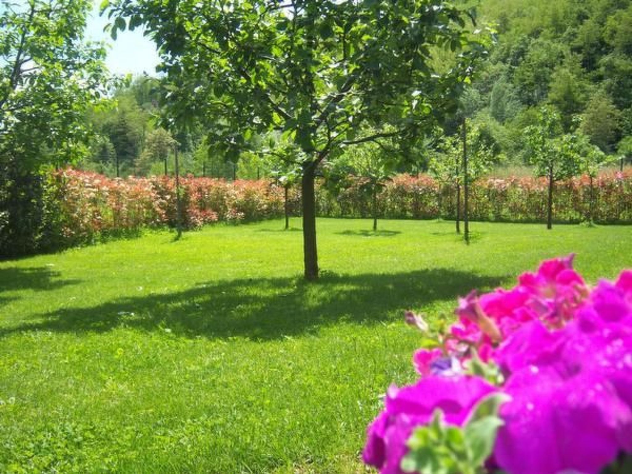 Villa Natura in Gallicano-Binnen