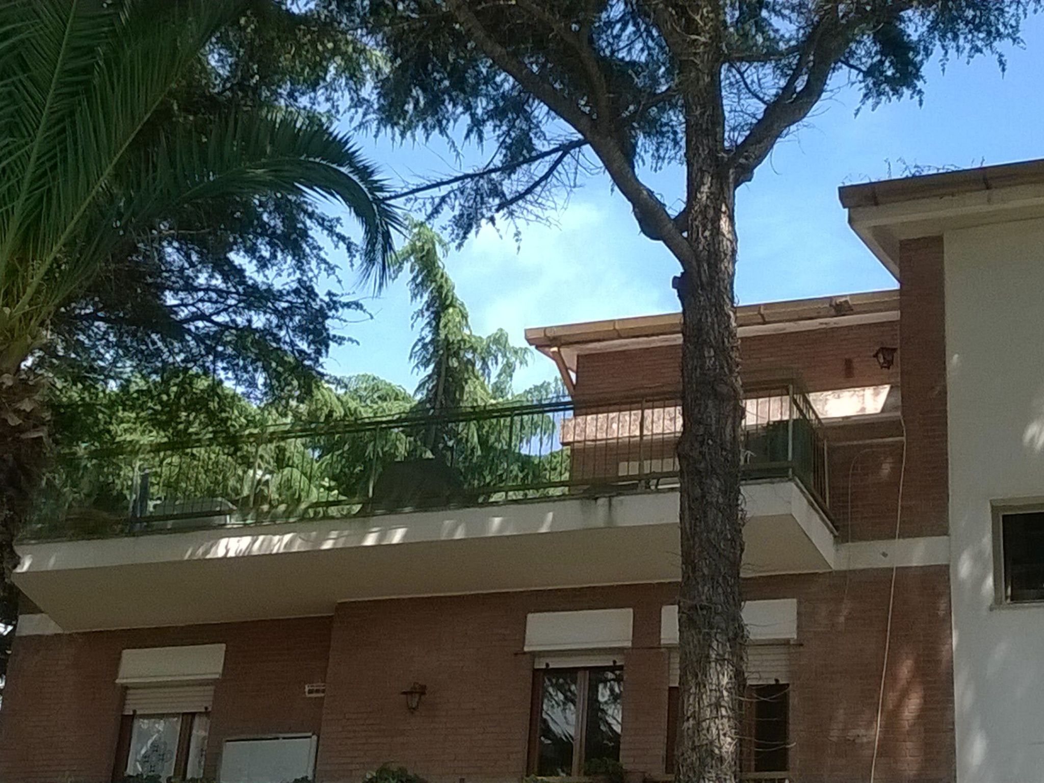 Penthouse mit großer Terrasse