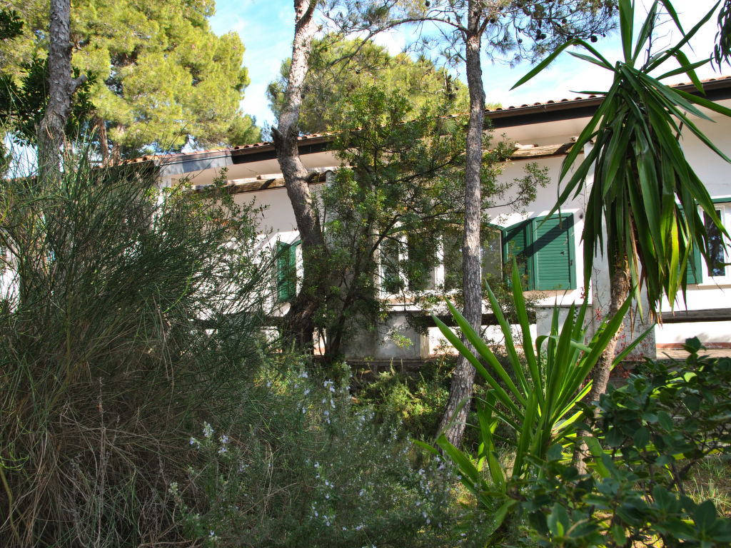 Bild 21