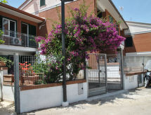 Bouganville