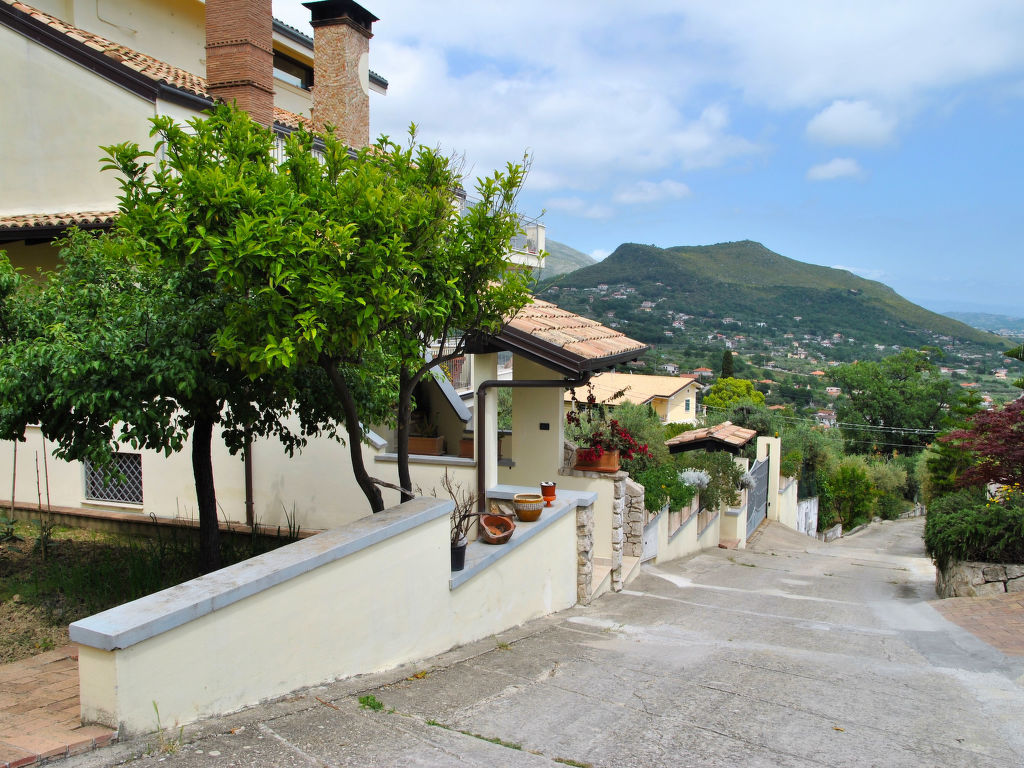 Bild 24