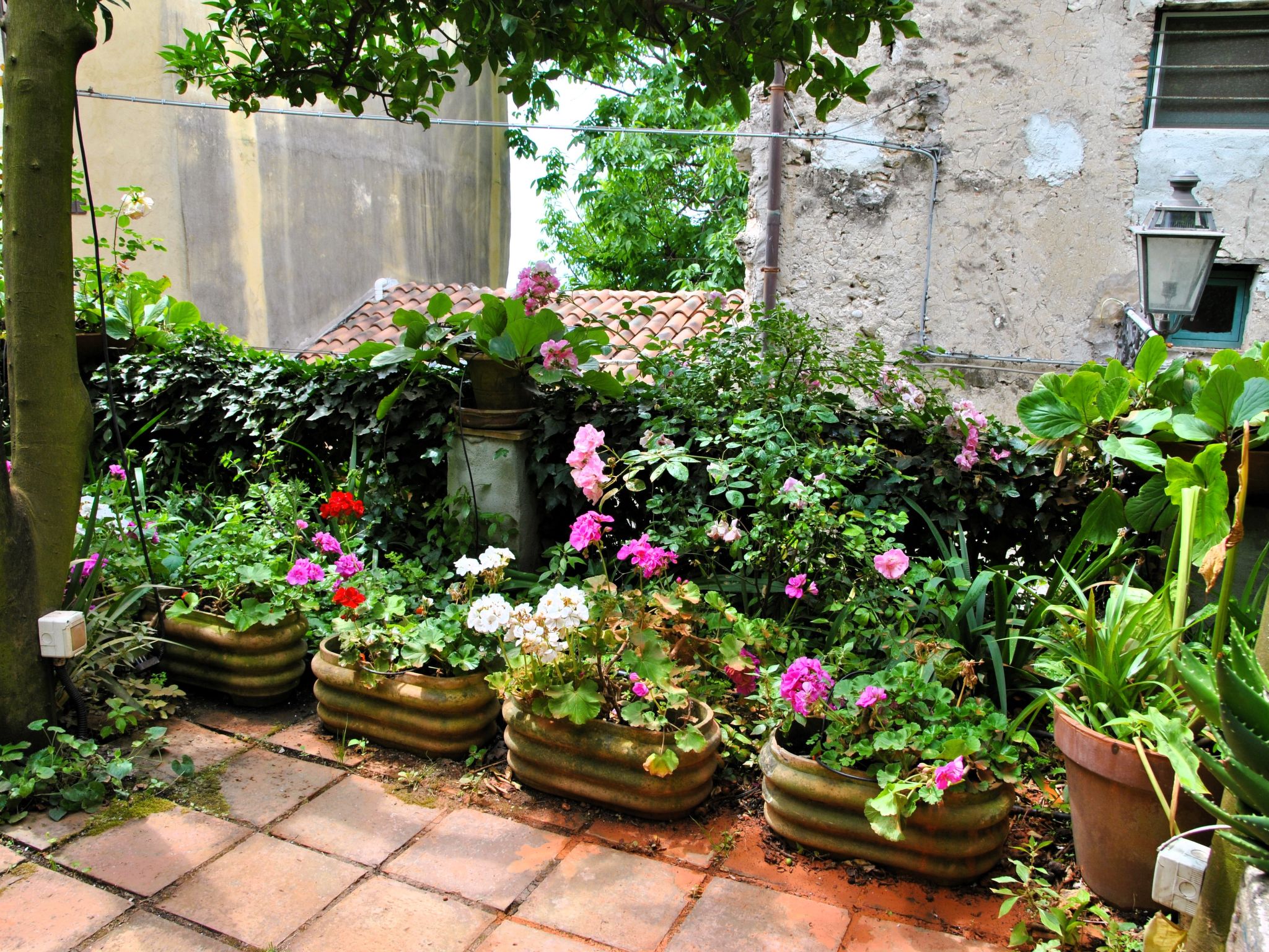 Giardino dei Limoni-Outside