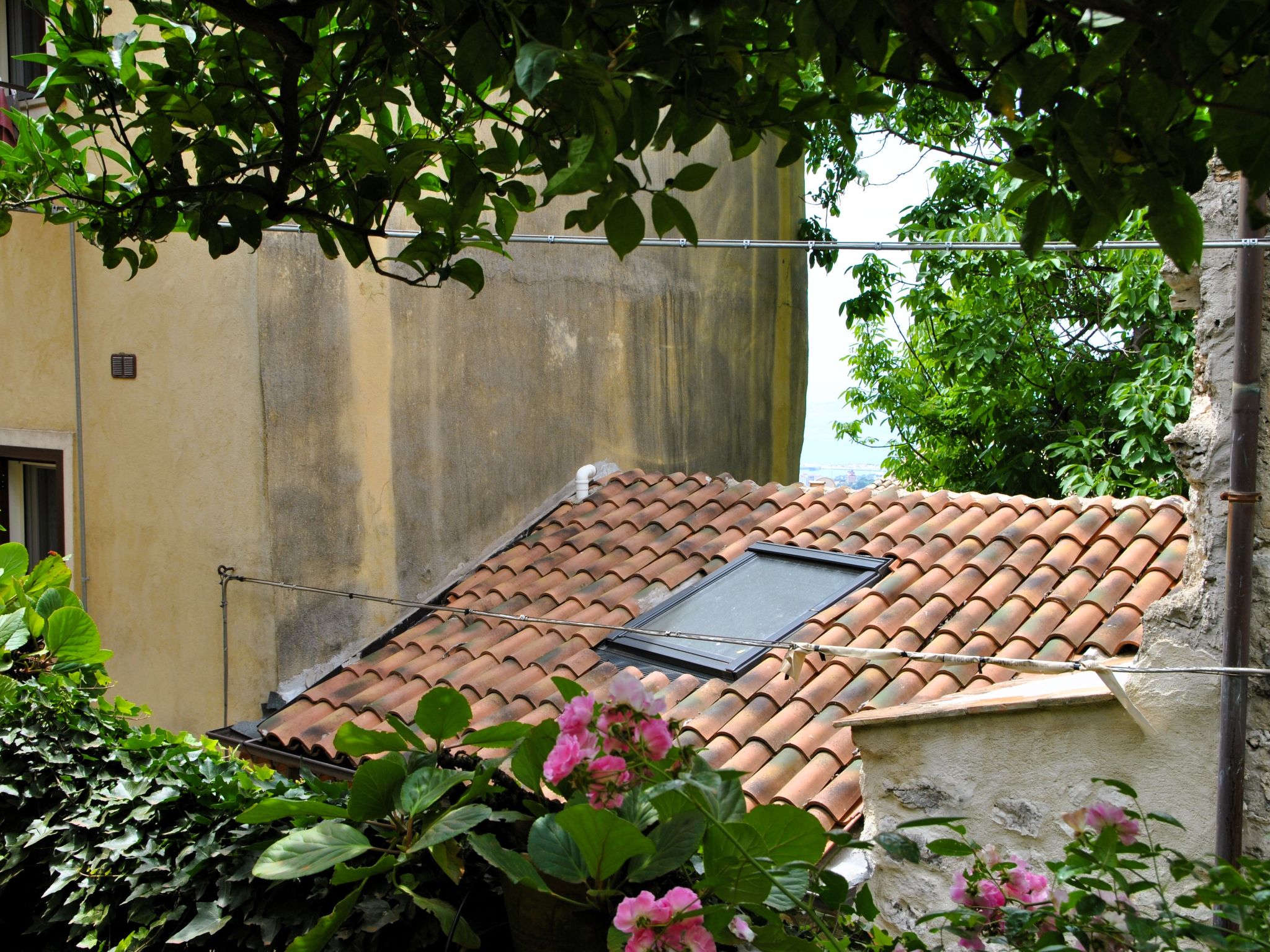 Giardino dei Limoni-Outside