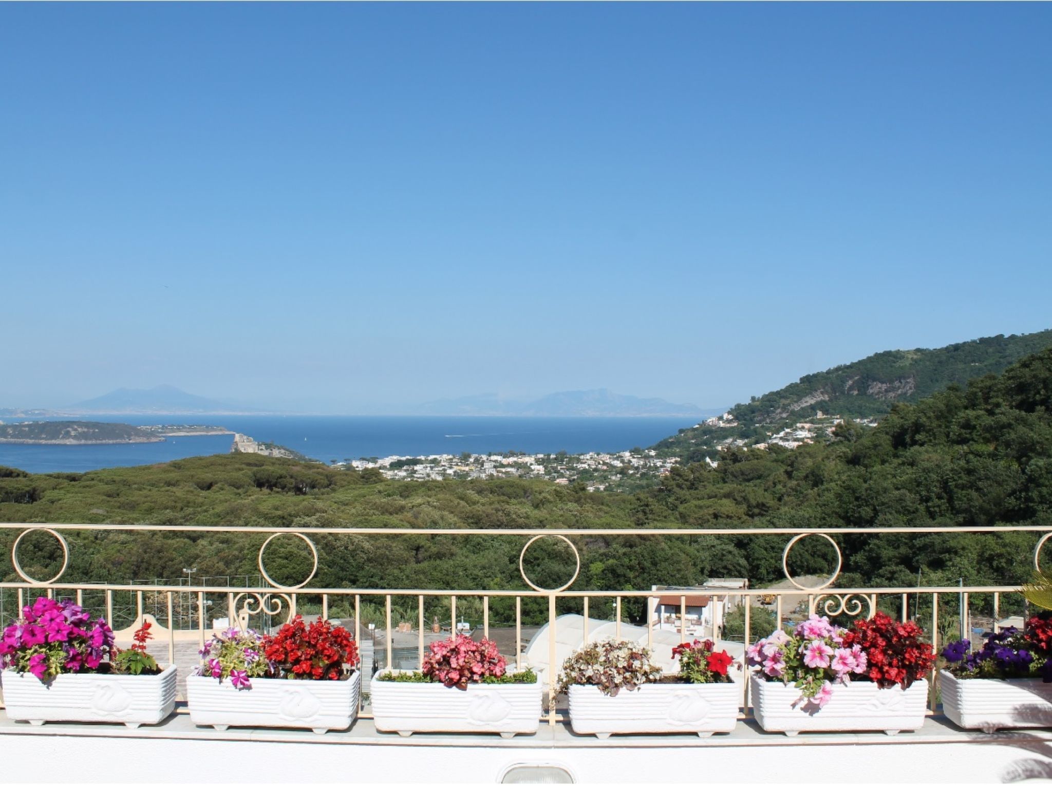 View