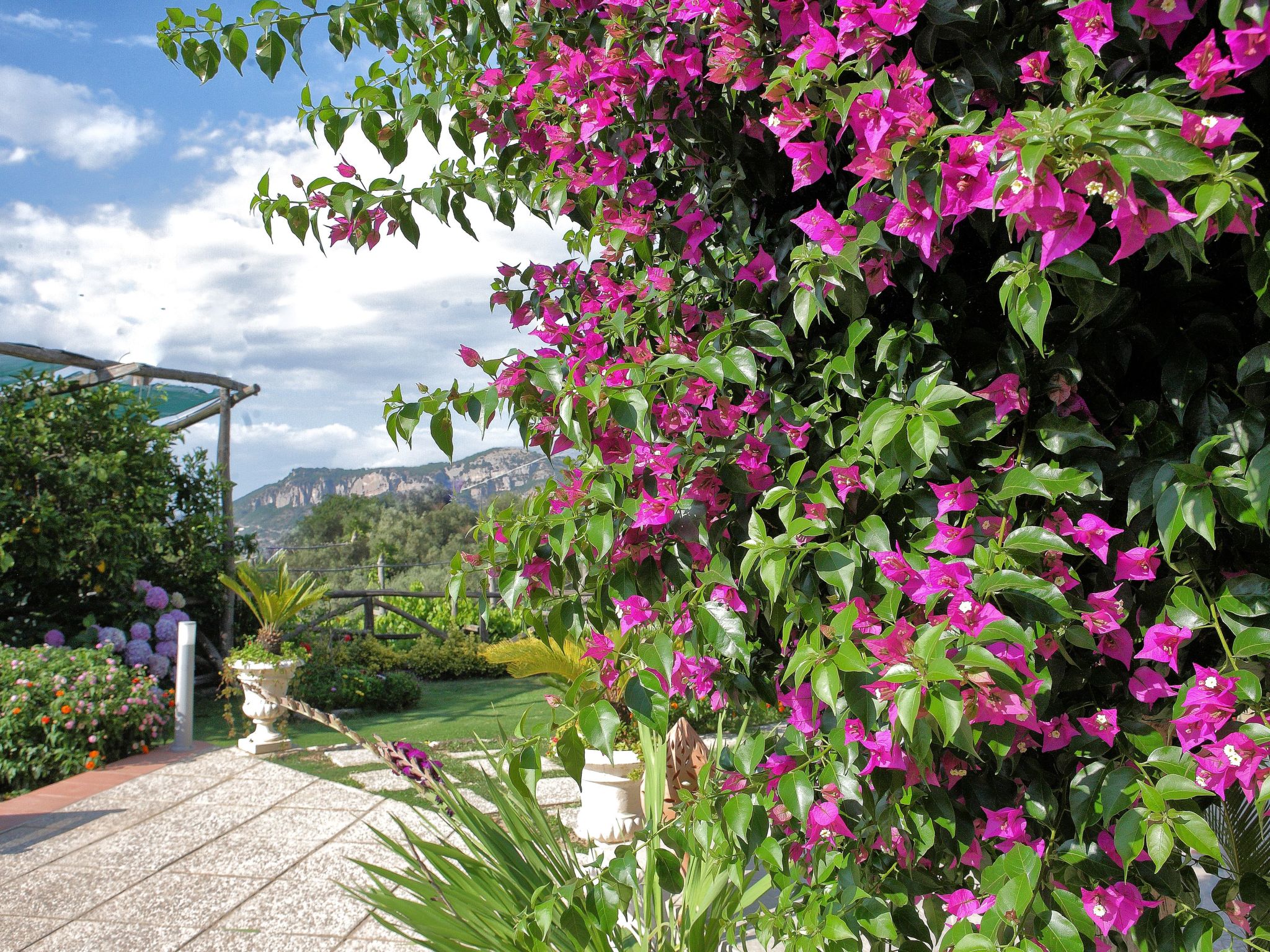 "Villa Flore" Sorrent und Amalfiküste-Binnen