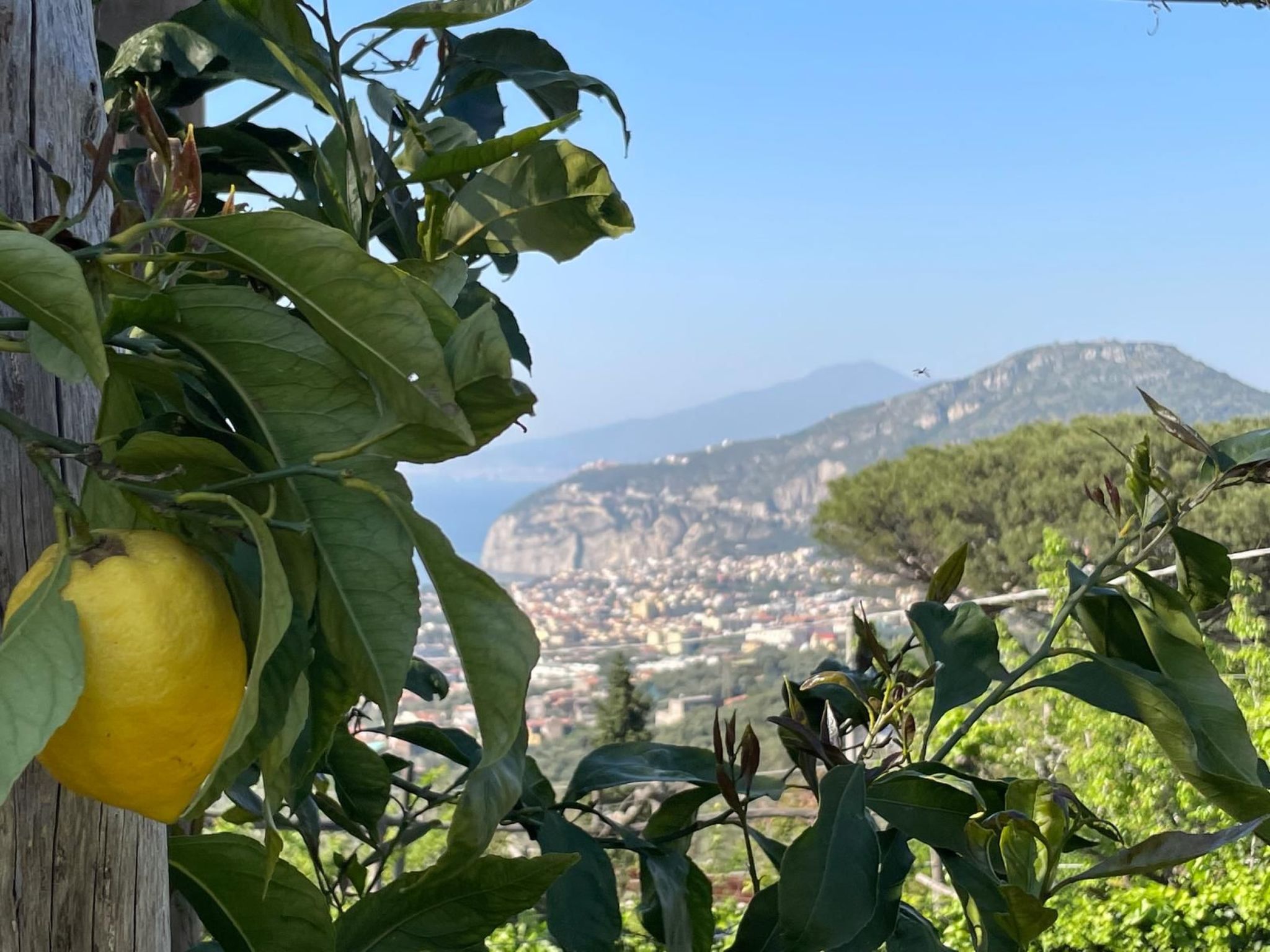 "Villa Flore" Sorrent und Amalfiküste-Binnen