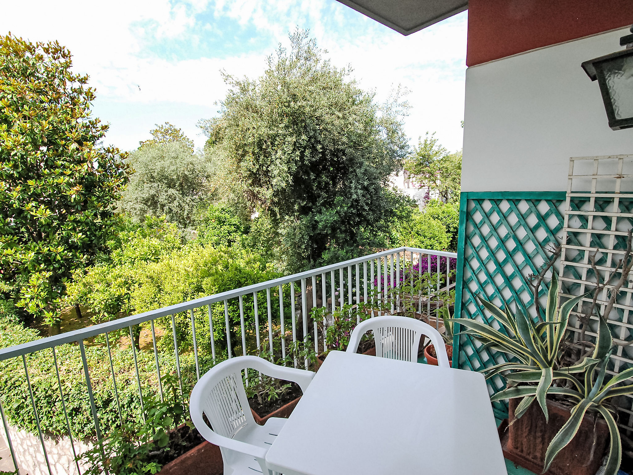 Photo of Riviera Massa