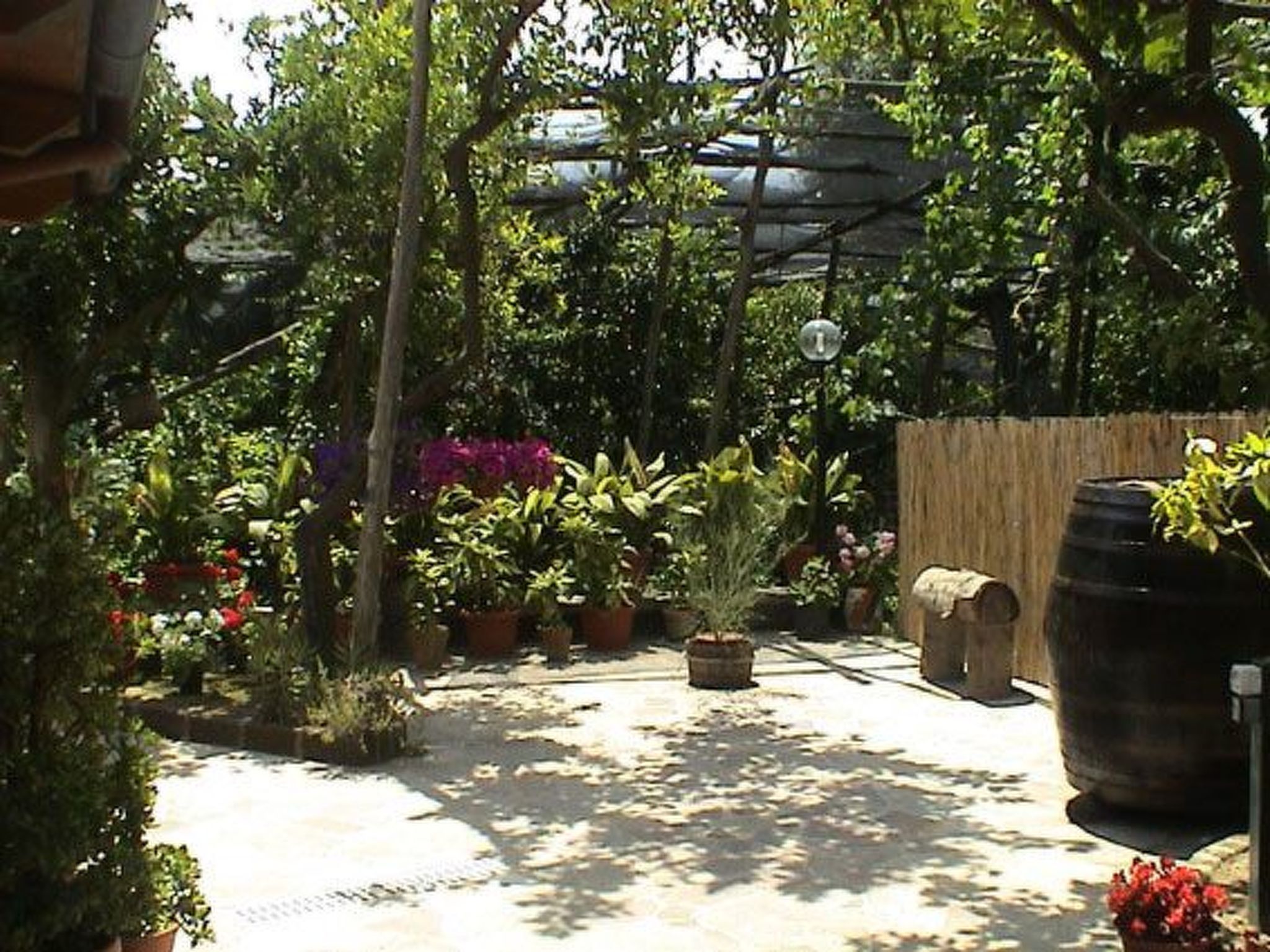 Photo of Wohnung 'Ivy' mit privatem Garten