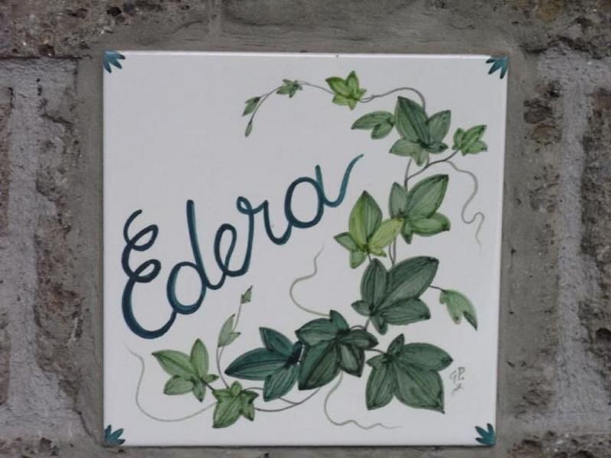 Photo of Wohnung 'Ivy' mit privatem Garten