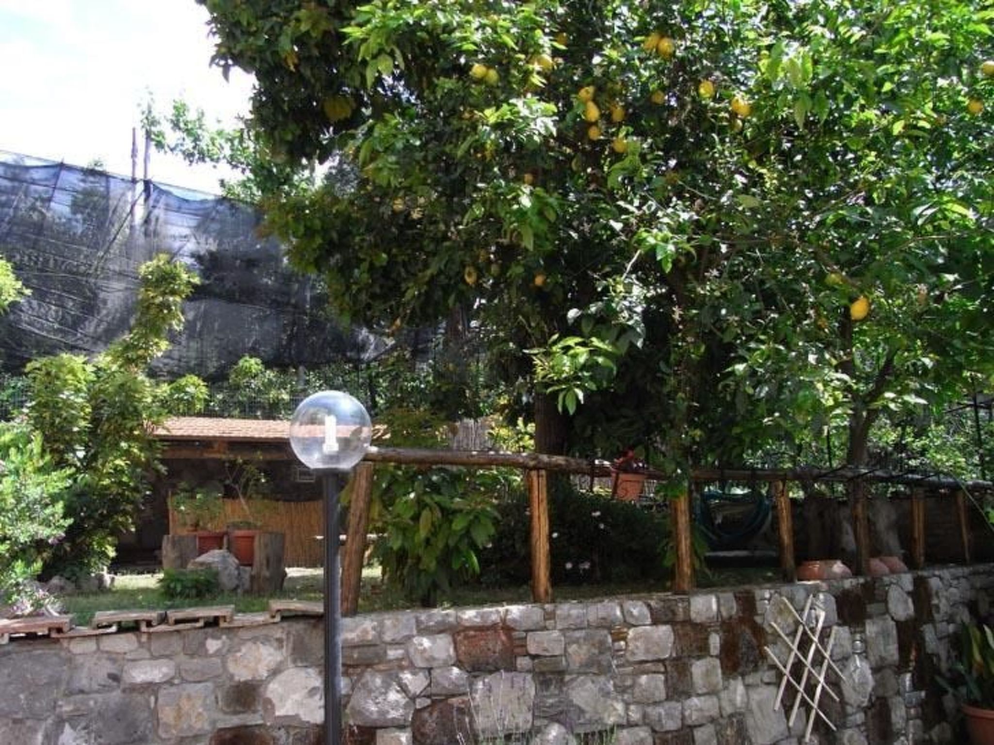 Photo of Wohnung 'Giglio' mit privatem Garten