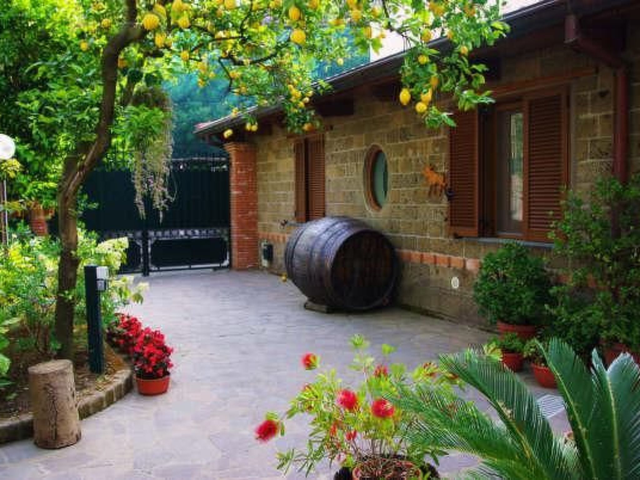 Photo of Wohnung 'Giglio' mit privatem Garten