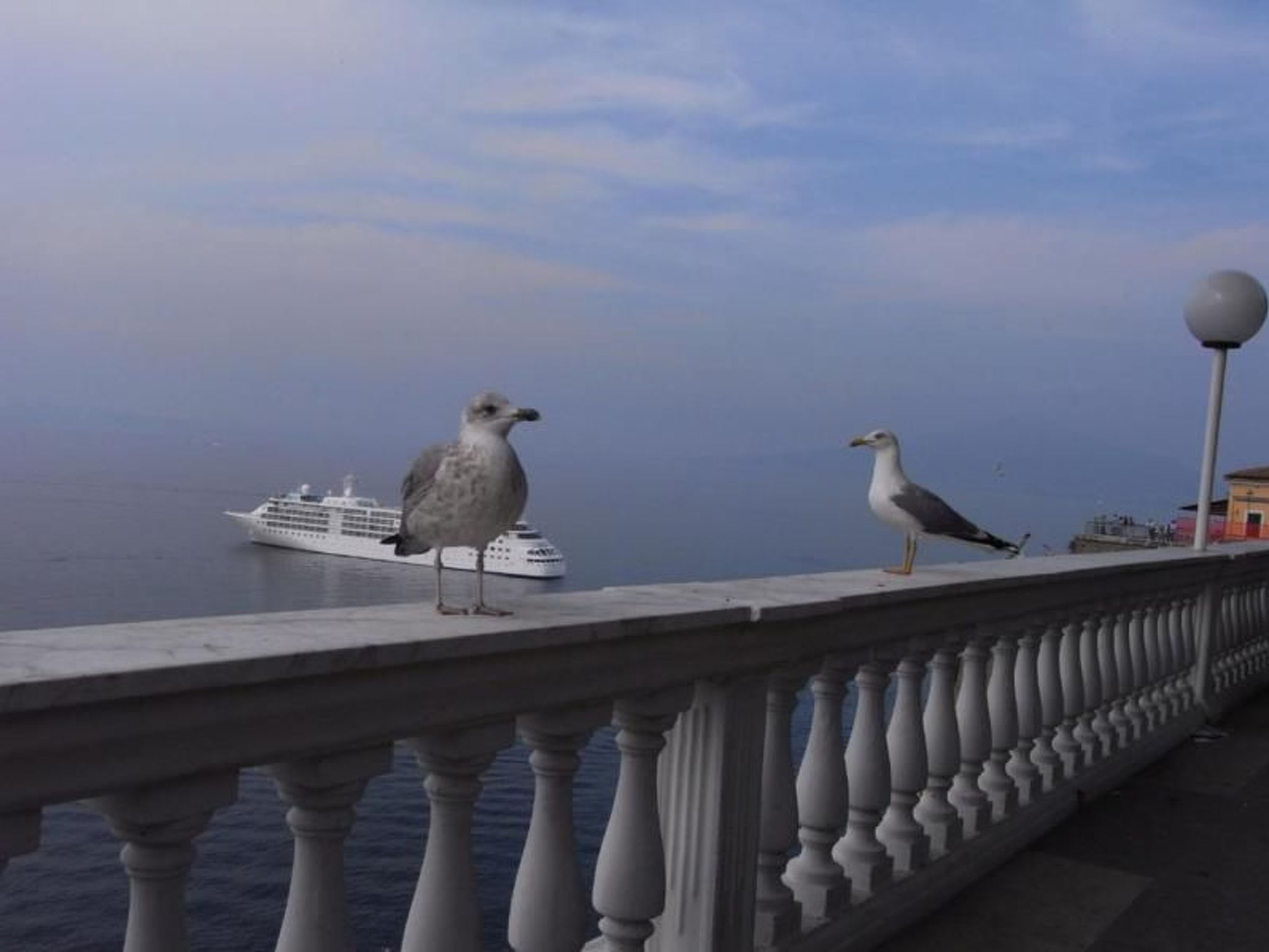 Photo of Wohnung 'Giglio' mit privatem Garten