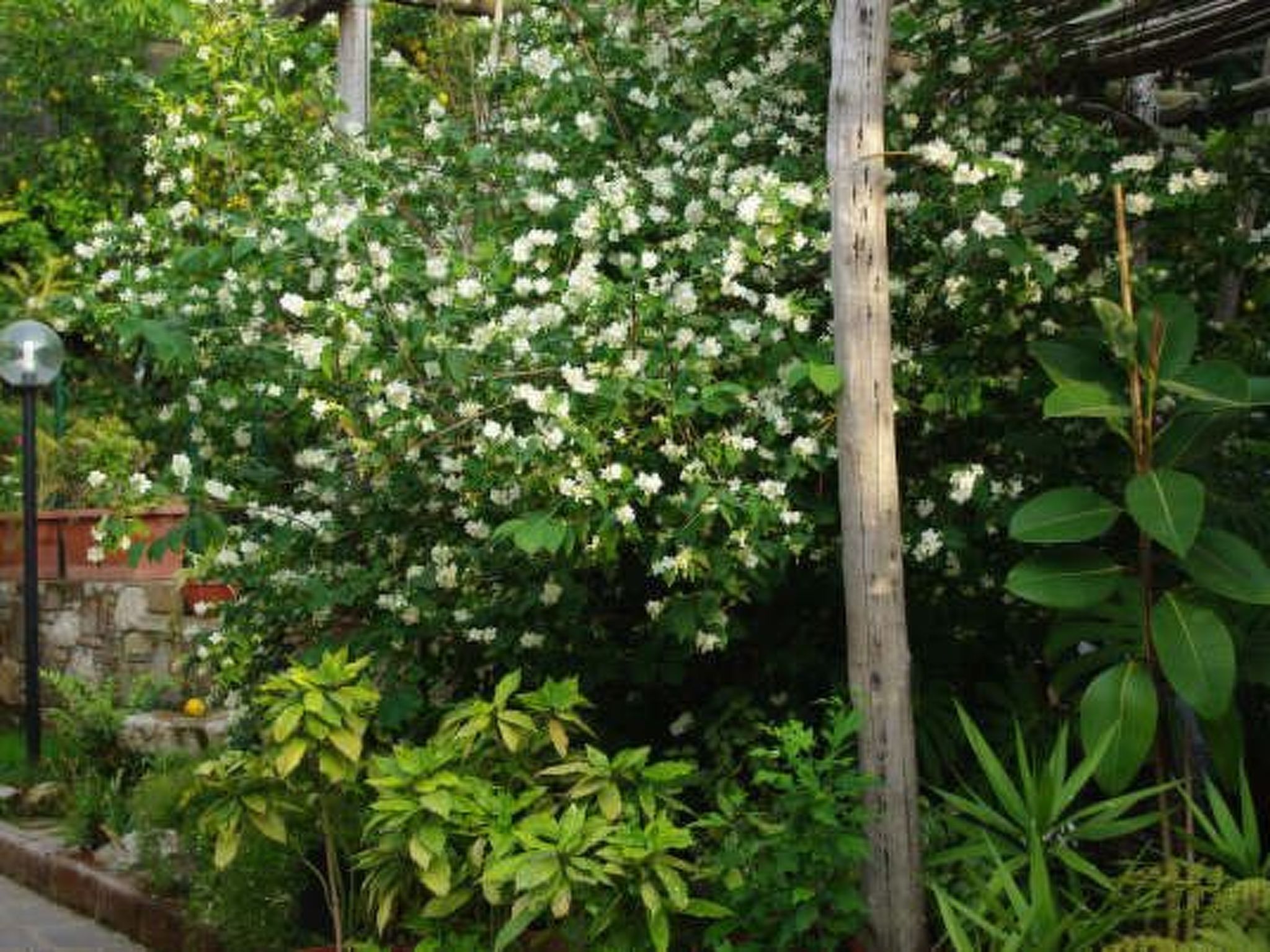 Photo of Rosa' Wohnung mit privatem Garten