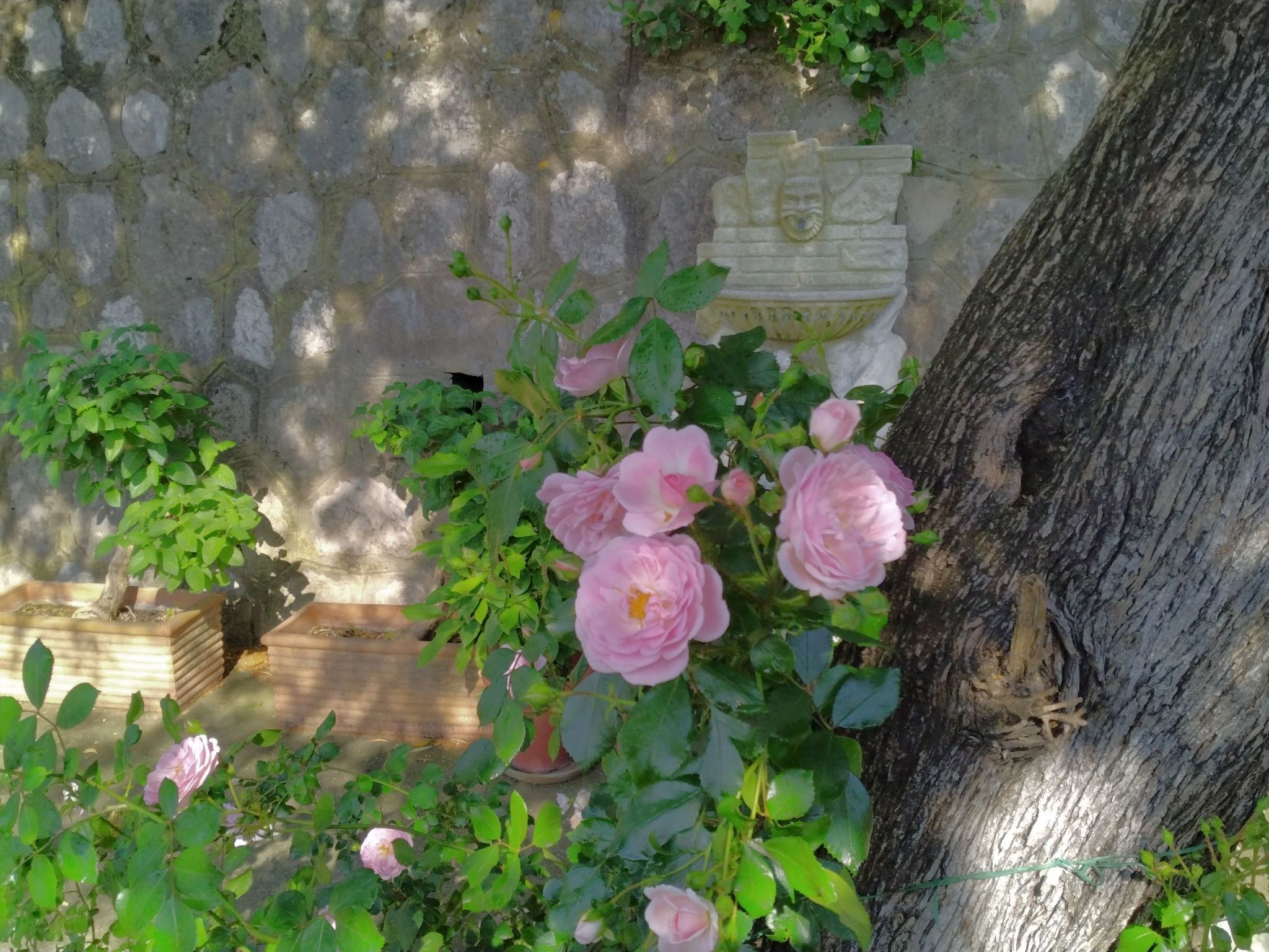 Villa l'Ulivina - Entspannung Garten Sonnenterrasse-Inside