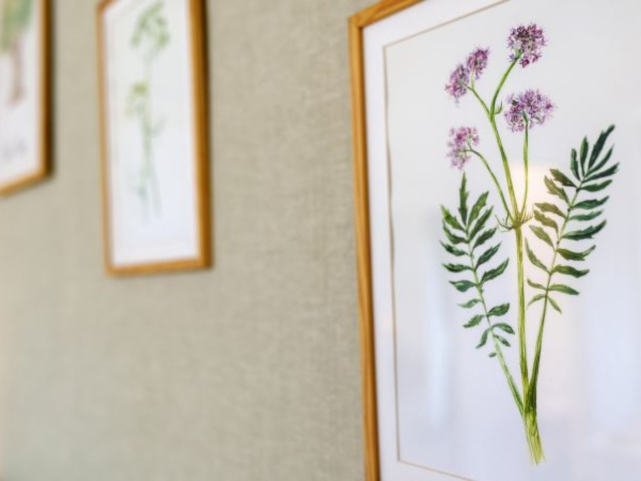 Photo of My  Home Sorrento