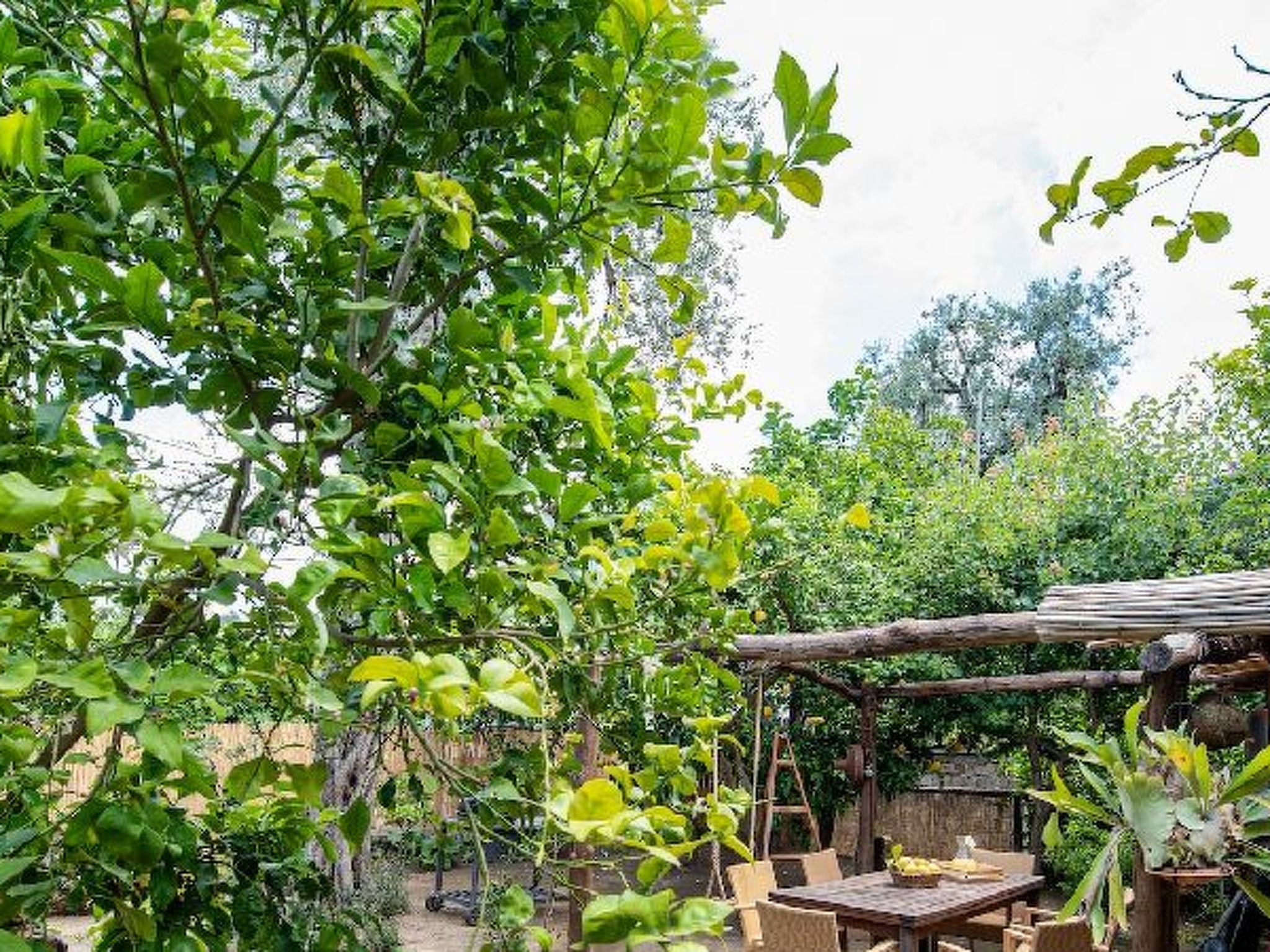 Photo of My  Home Sorrento