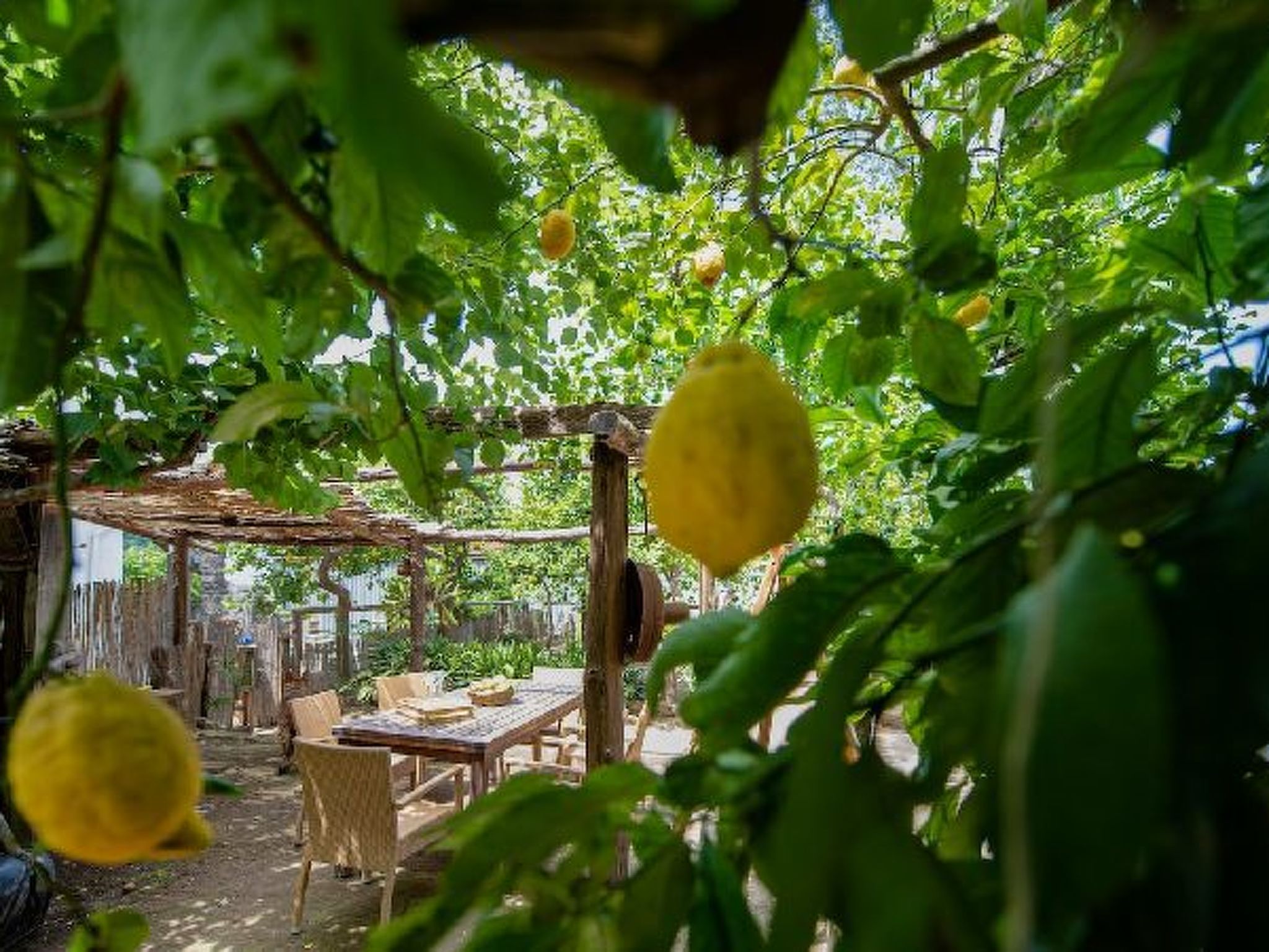 Photo of My  Home Sorrento