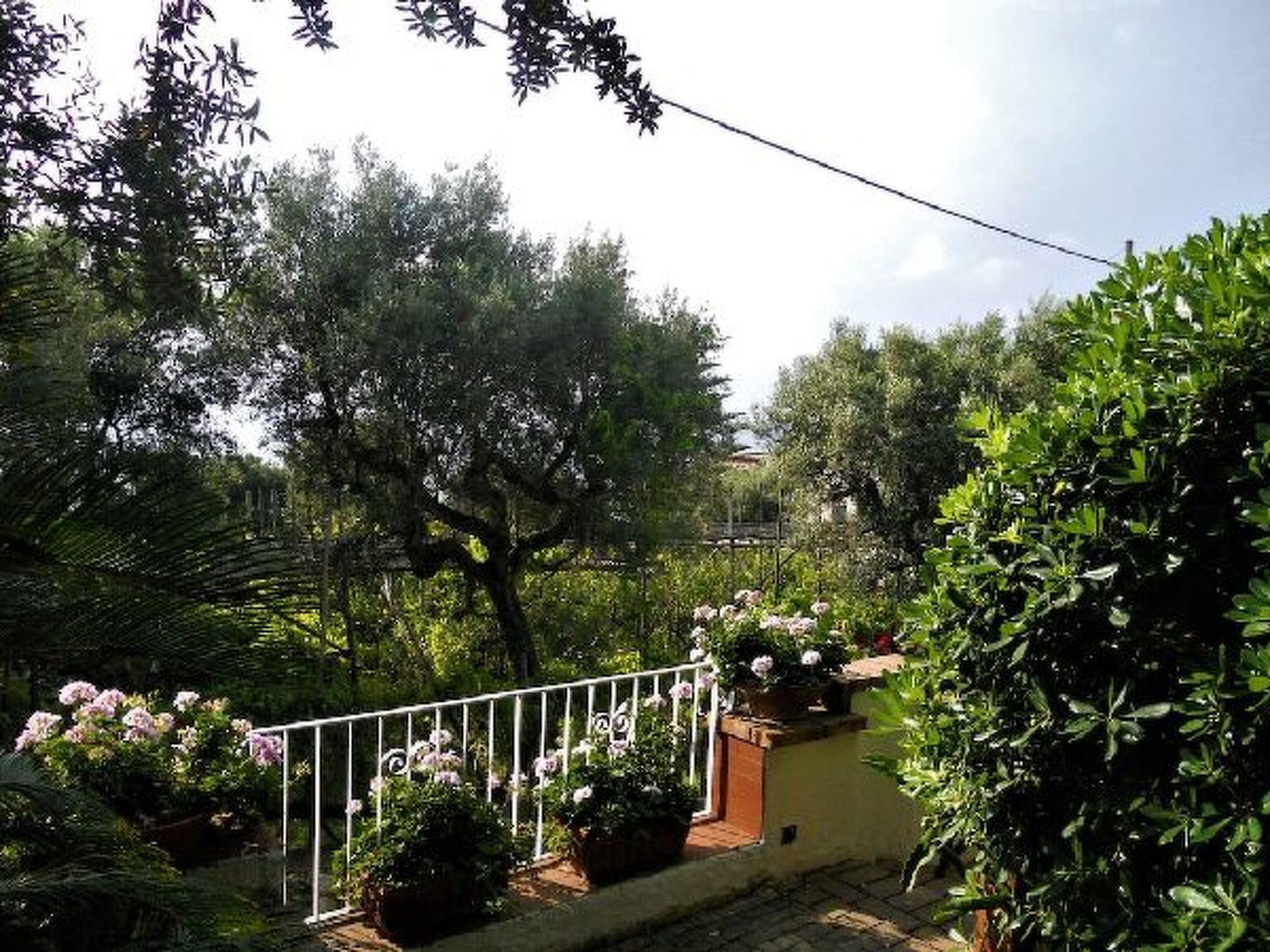 Photo of Villa le Olivine Less then 5 min to Sorrento