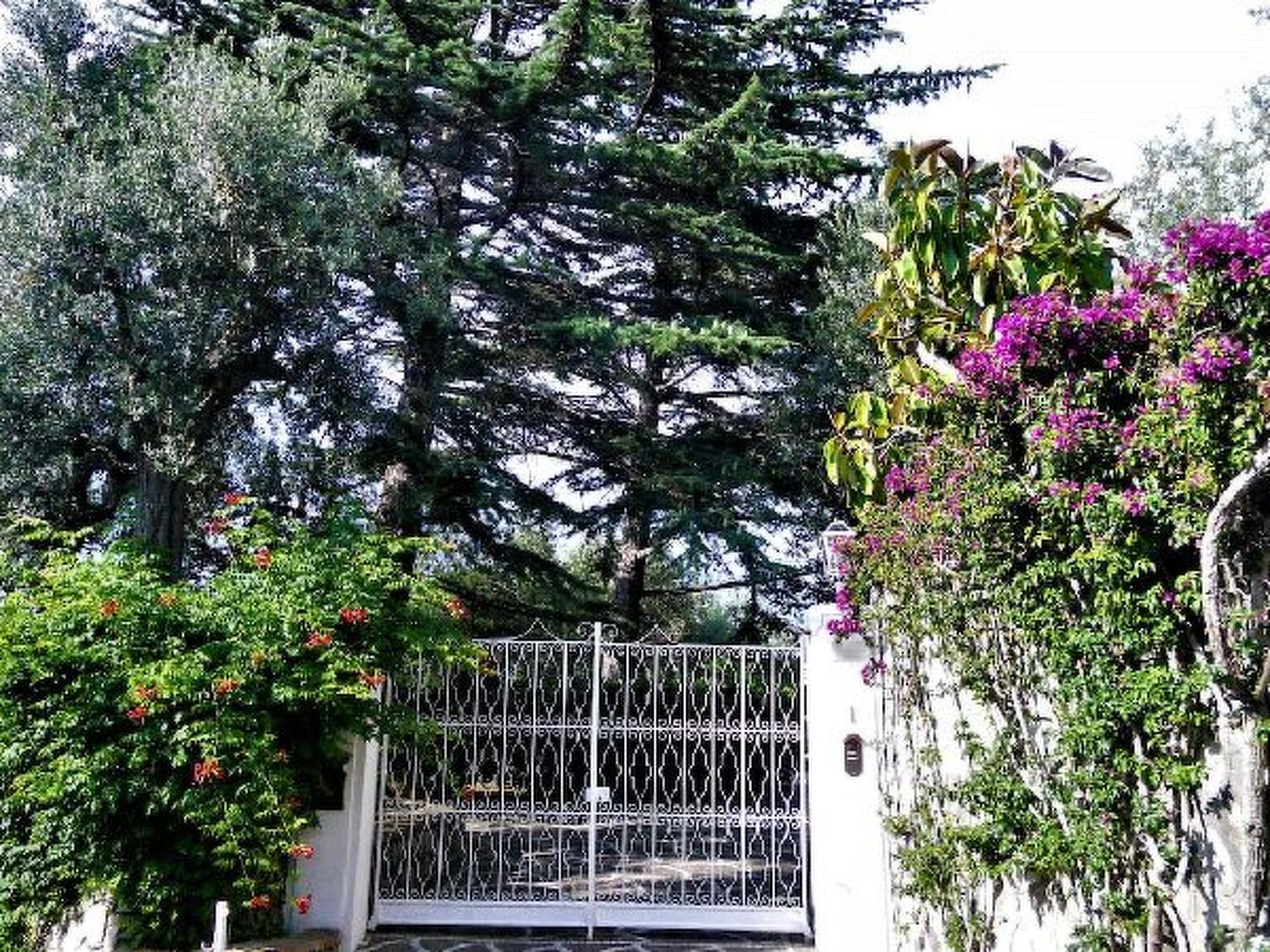 Photo of Villa le Olivine Less then 5 min to Sorrento