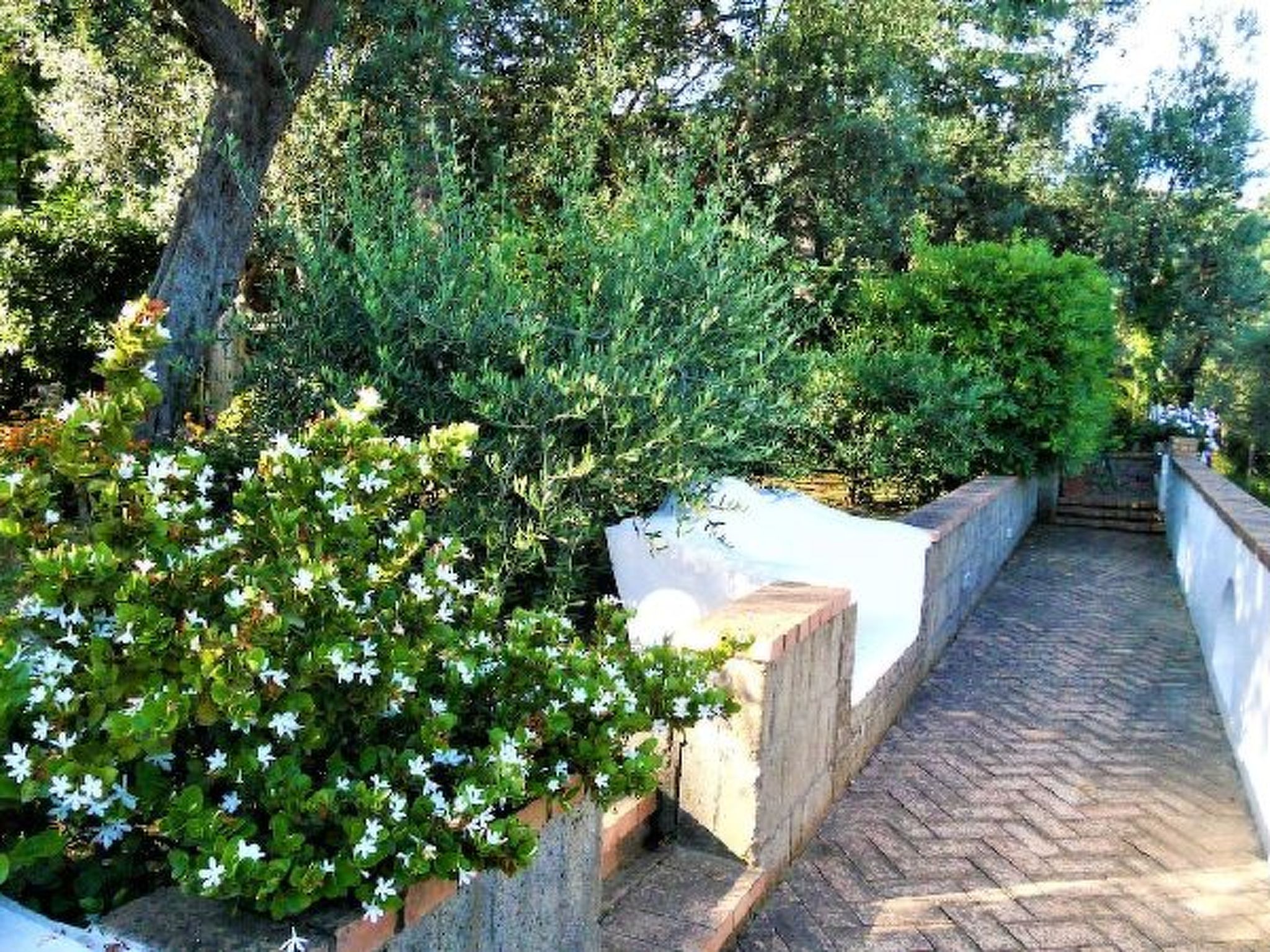 Photo of Villa le Olivine Less then 5 min to Sorrento