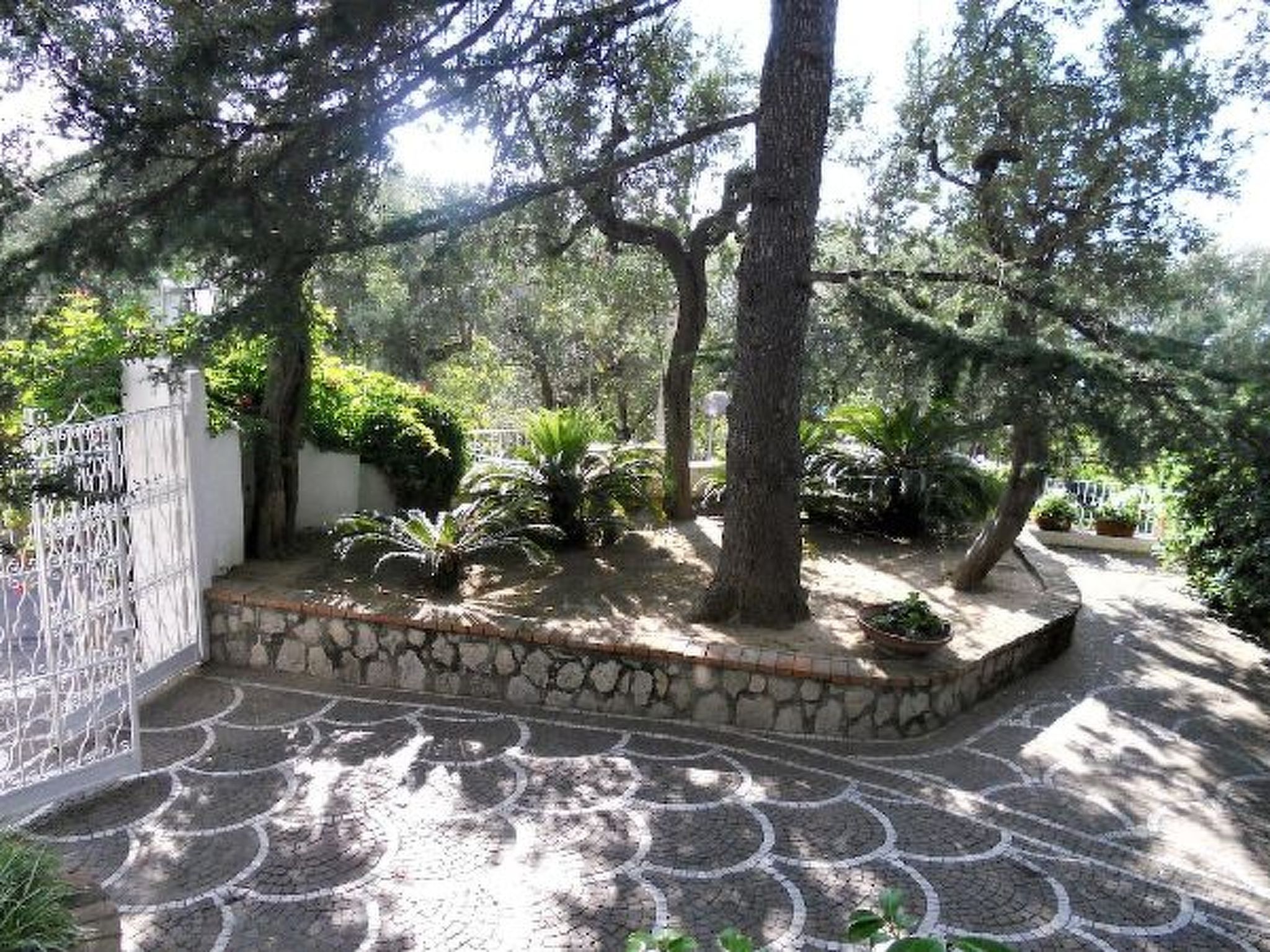 Photo of Villa le Olivine Less then 5 min to Sorrento