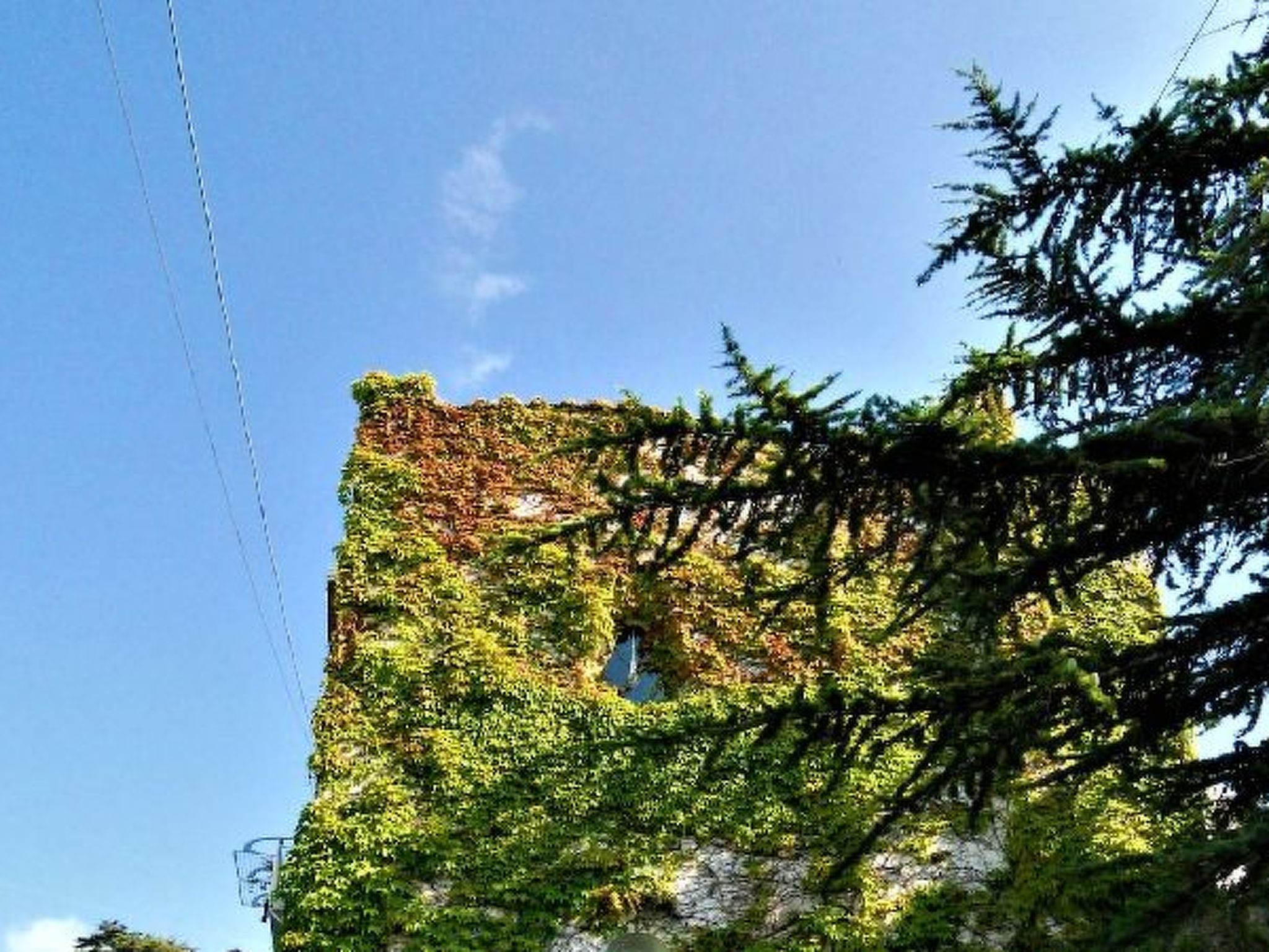 Photo of Villa le Olivine Less then 5 min to Sorrento