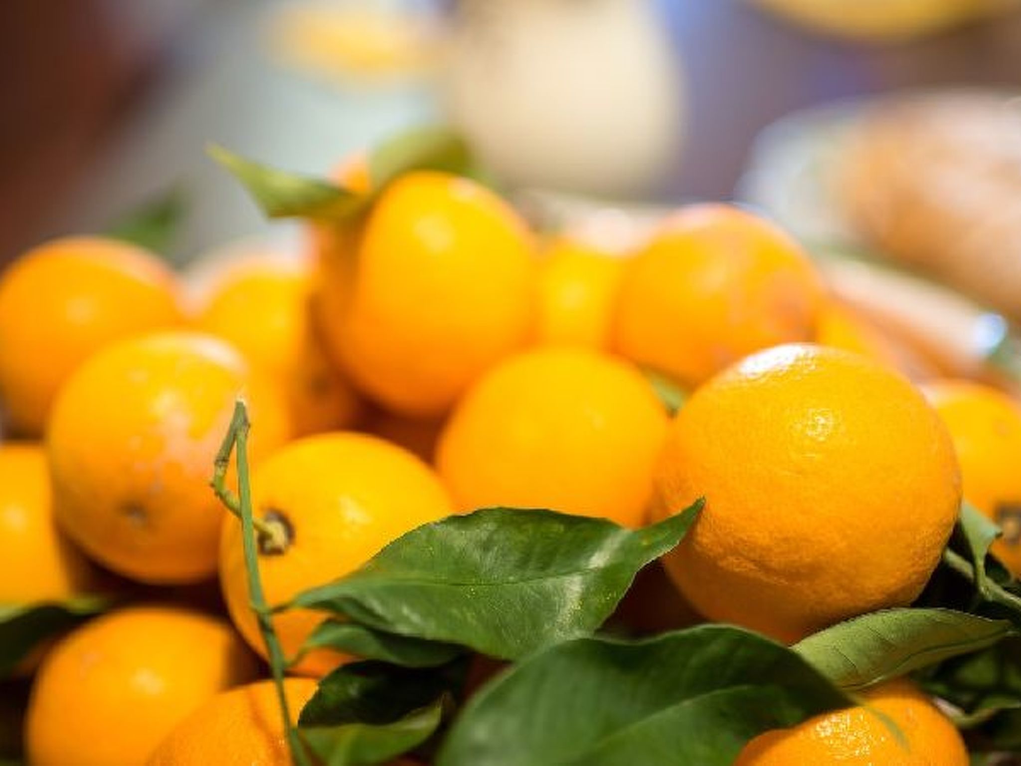 Photo of Villa le Olivine Less then 5 min to Sorrento