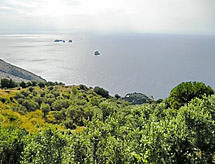 Lomatalo Fontanarosa