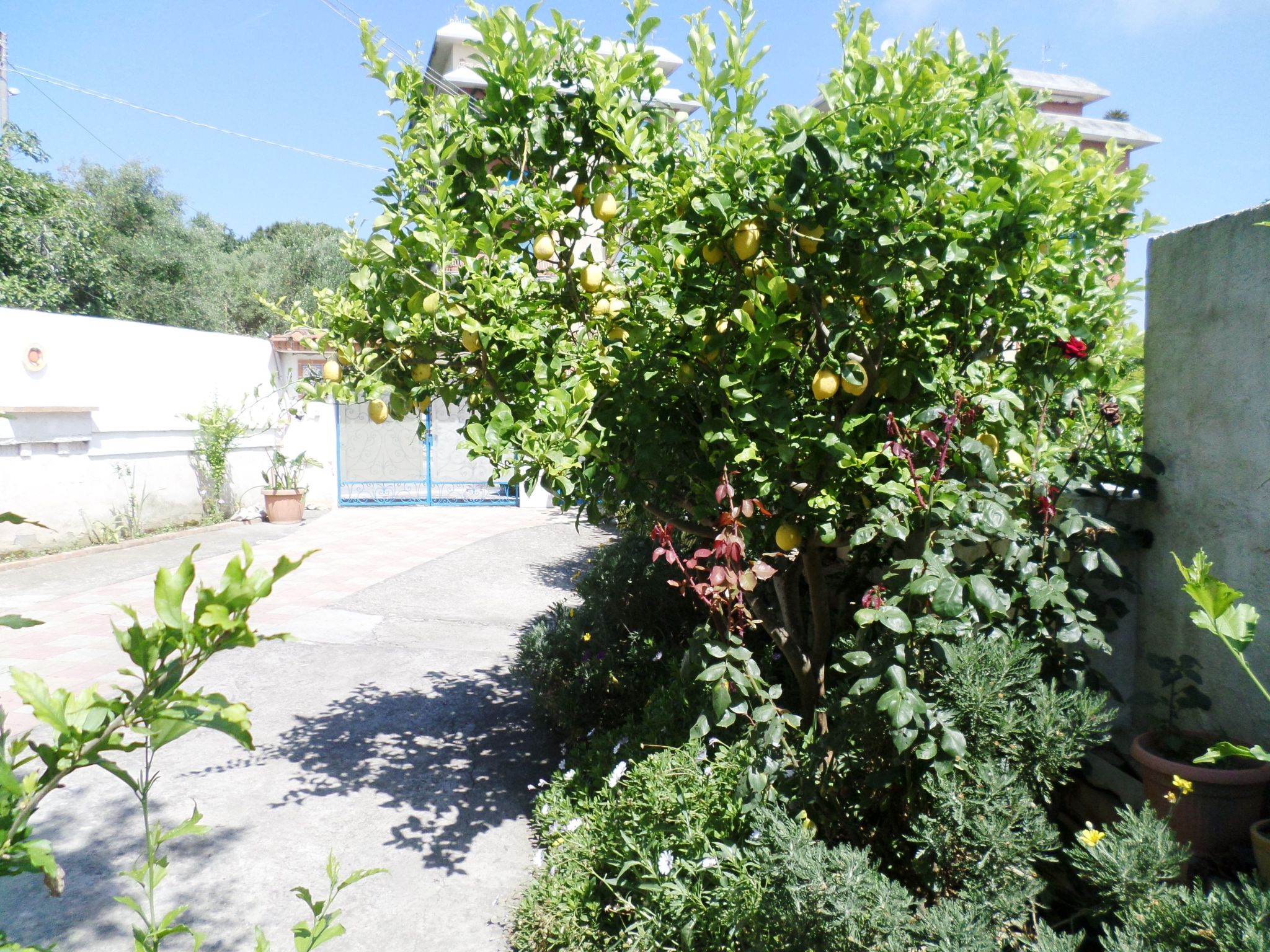 Das Landhaus von Kleopatra und Marcantonio-Binnen