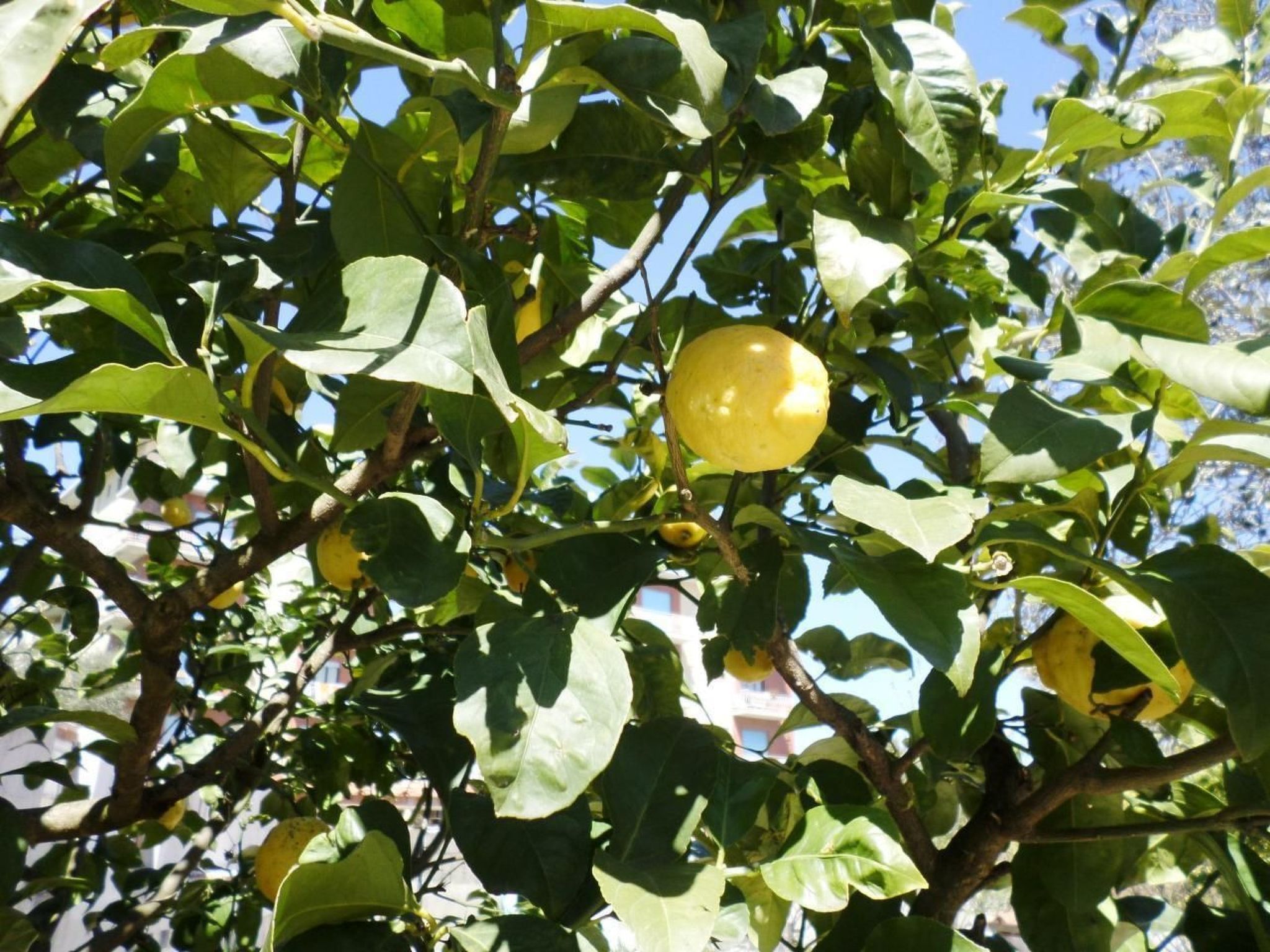 Das Landhaus von Kleopatra und Marcantonio-Binnen