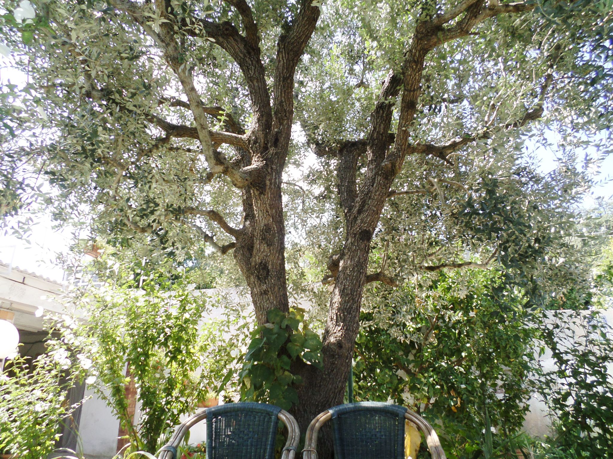 Das Landhaus von Kleopatra und Marcantonio-Binnen