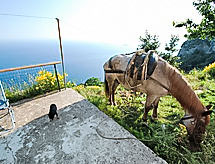 Ferienhaus Dea Afrodite