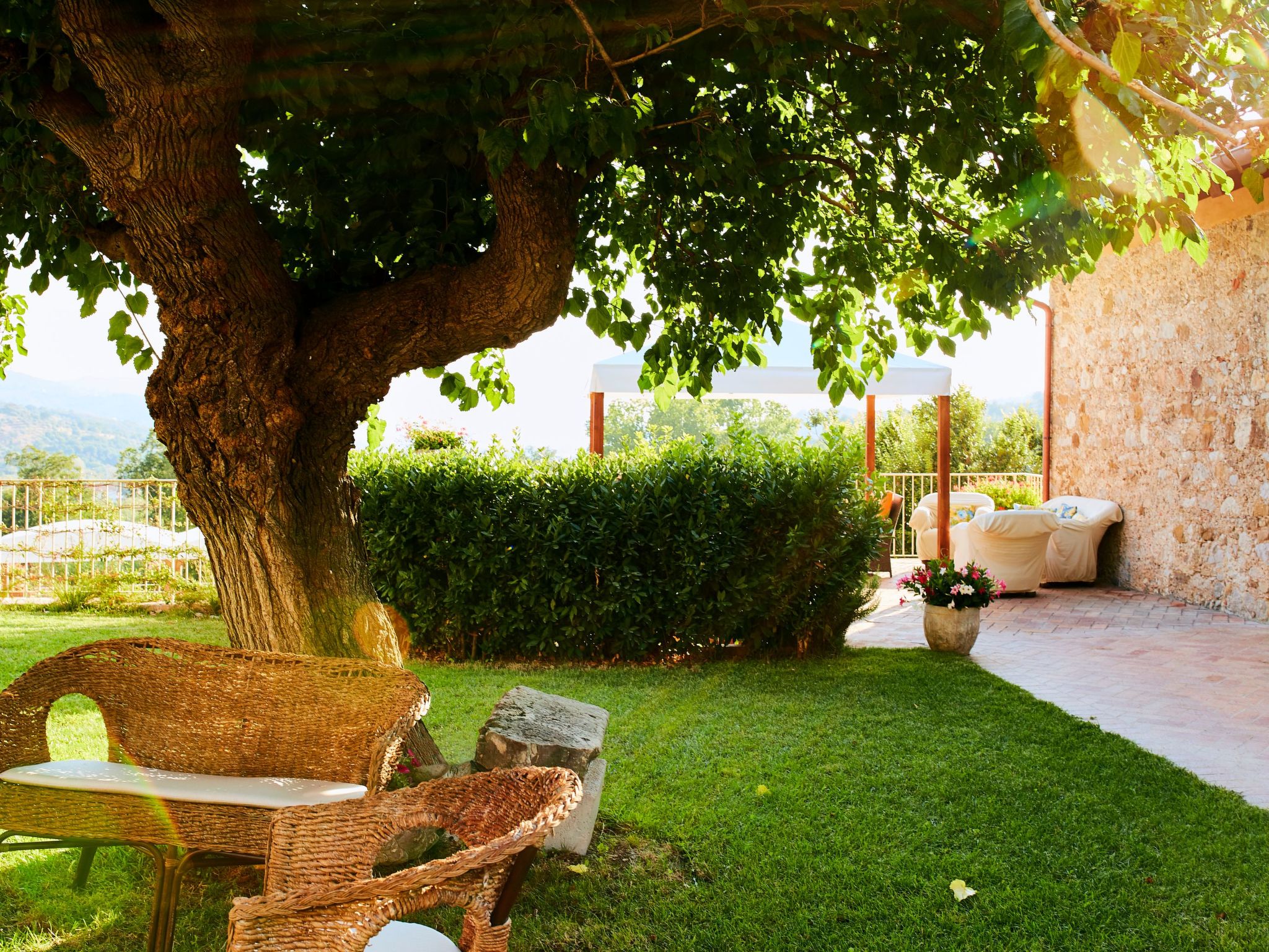 Situated and protected by the "Tremonti" mountain range at the foot of the village of Giungano, the rural landscape rich in vineyards, olive groves, orchards and the Tremonti river, is the setting for..