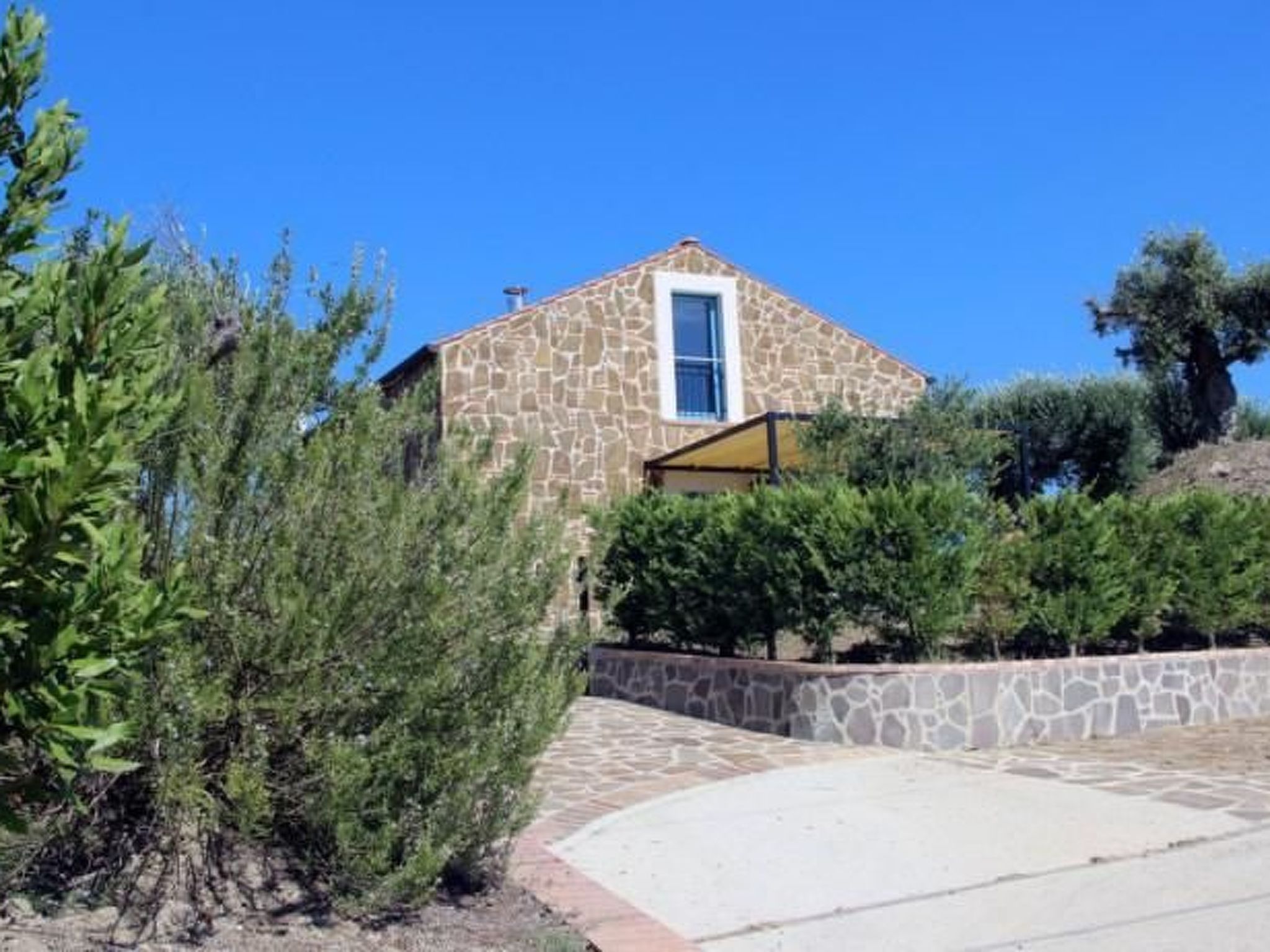 Casolare Olive-Image-tags.info