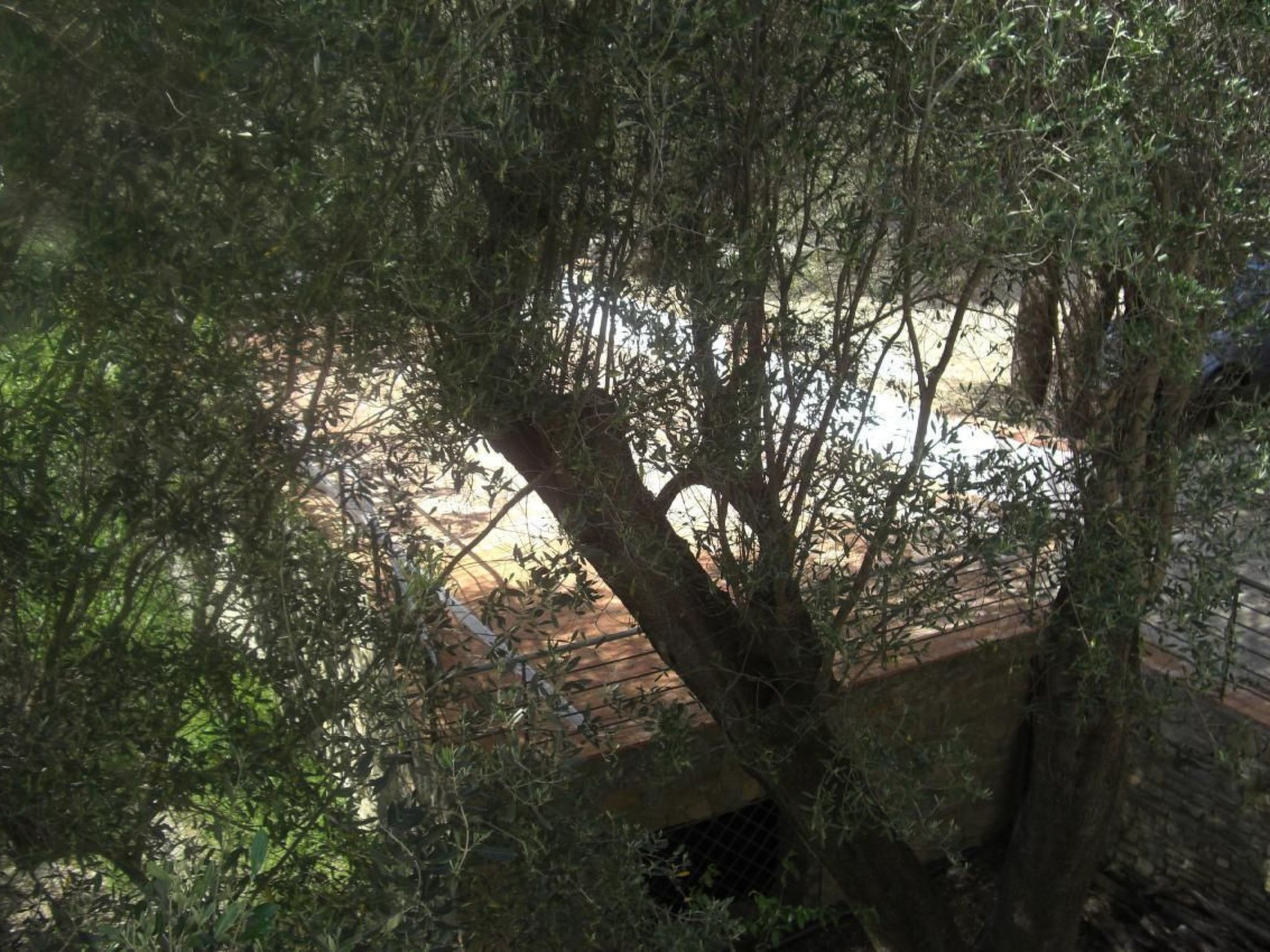 Strandnahe Ferienwohnung mit Garten und Grill-Binnen