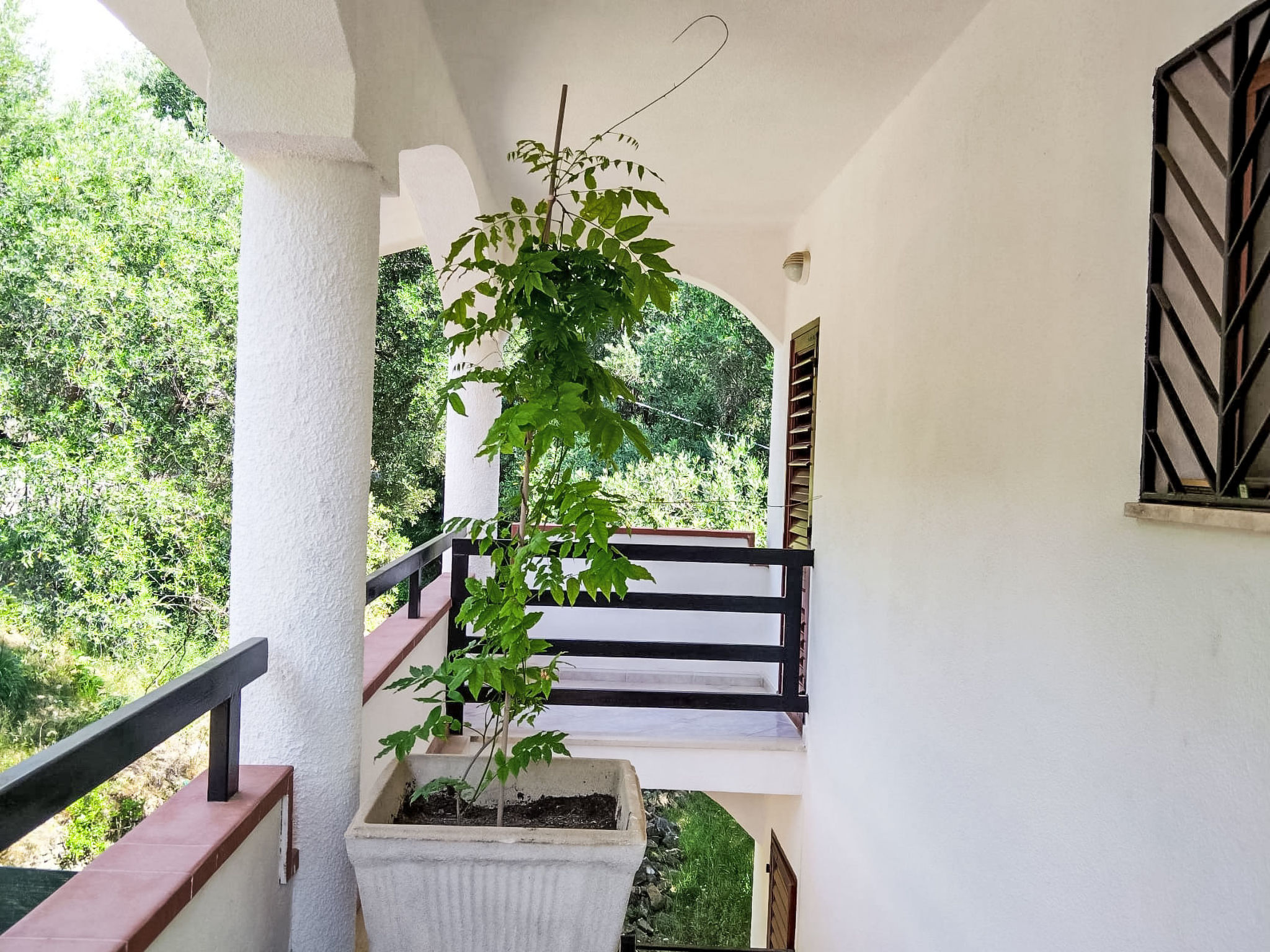 Appartement in Pisciotta mit Grill - Outside