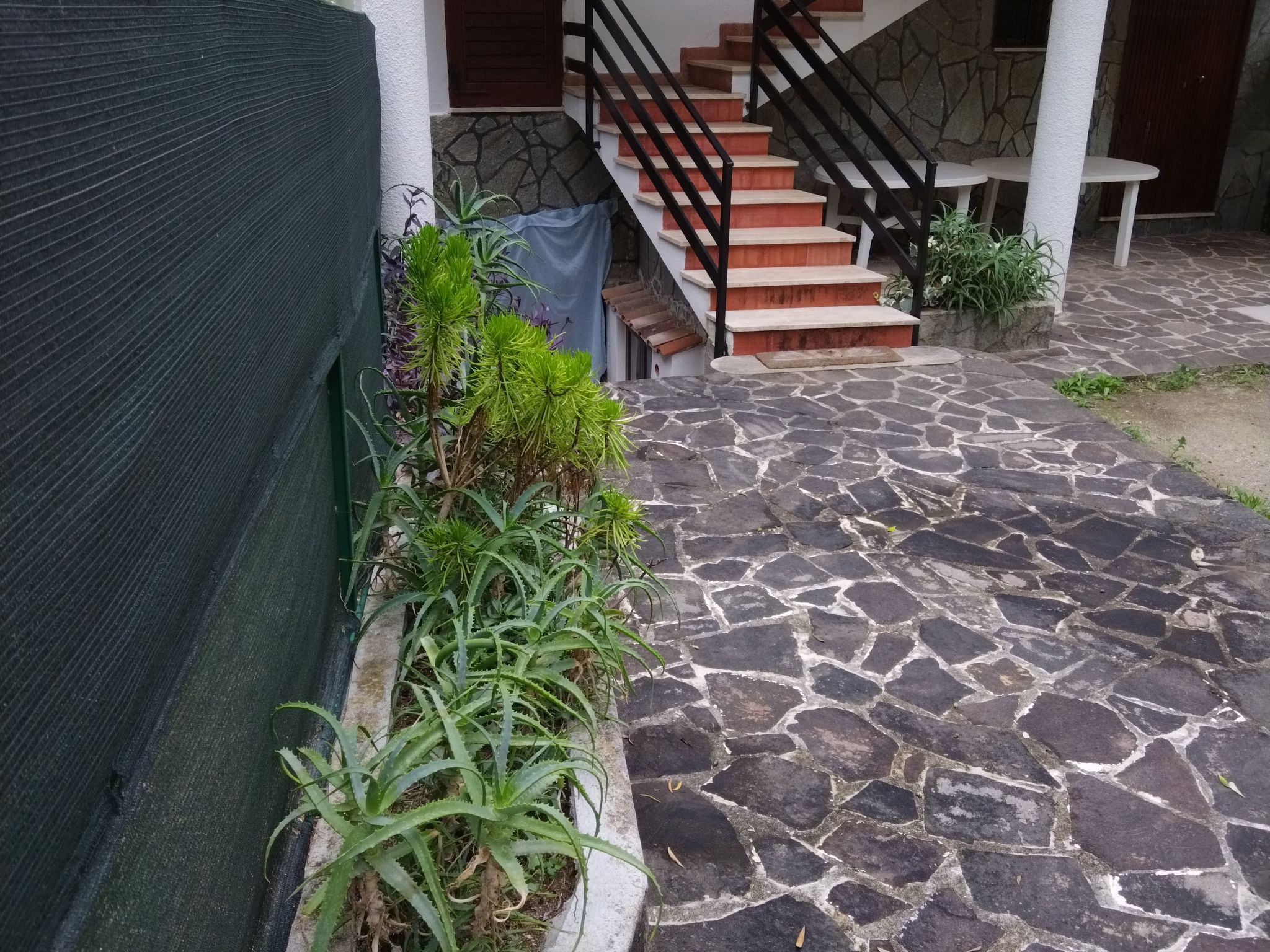 Appartement in Pisciotta mit Grill