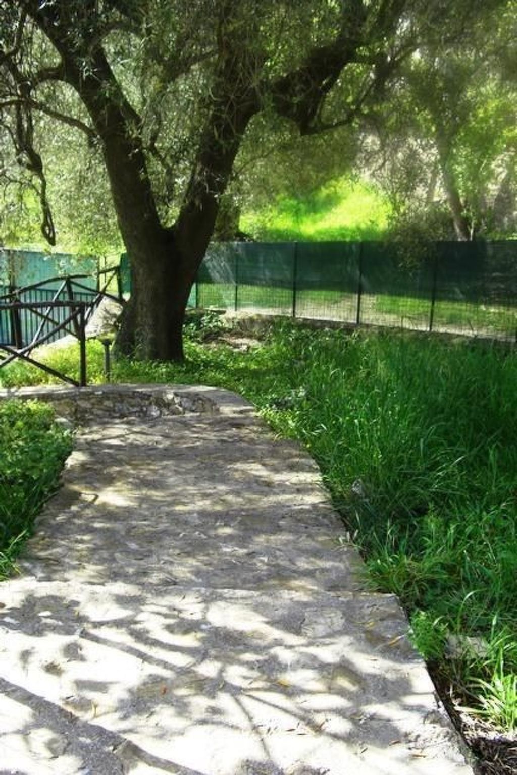 Appartement in Pisciotta mit Grill - Image-tags.info