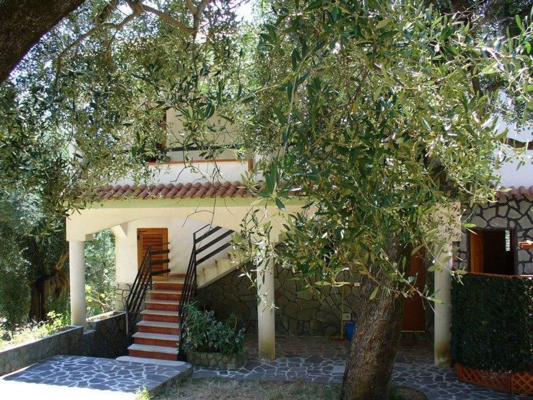 Appartement in Pisciotta mit Grill - Image-tags.info