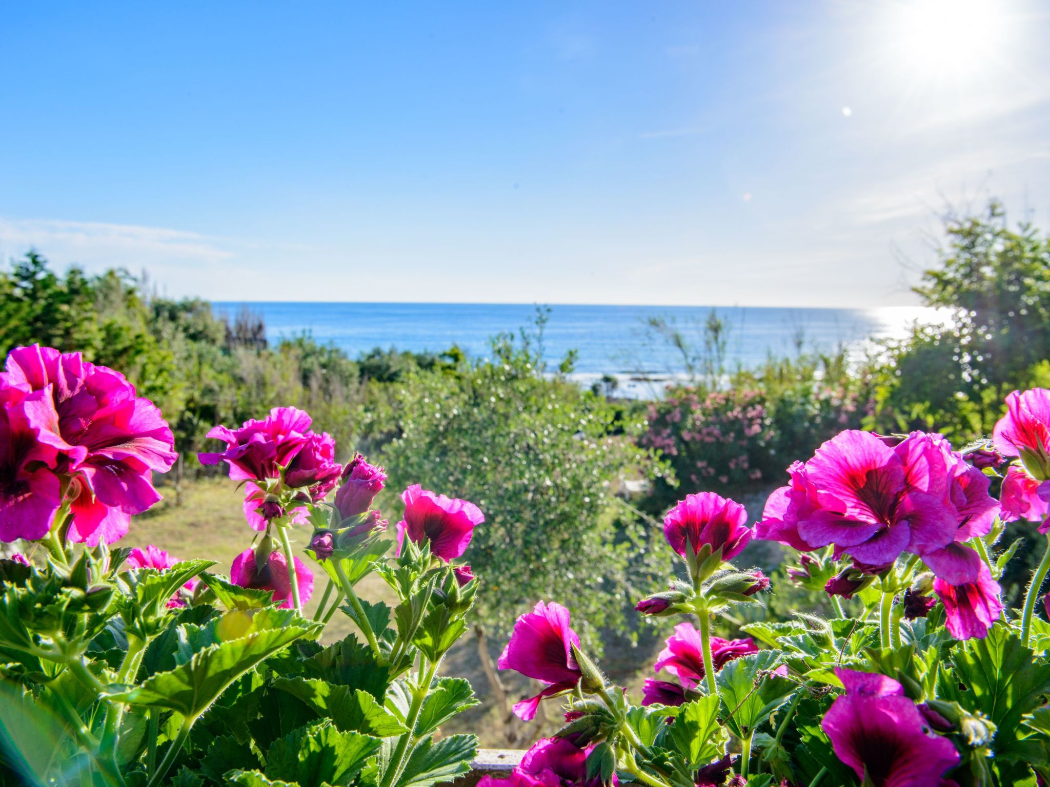 Villa Saline- Villa am Meer-Image-tags.info