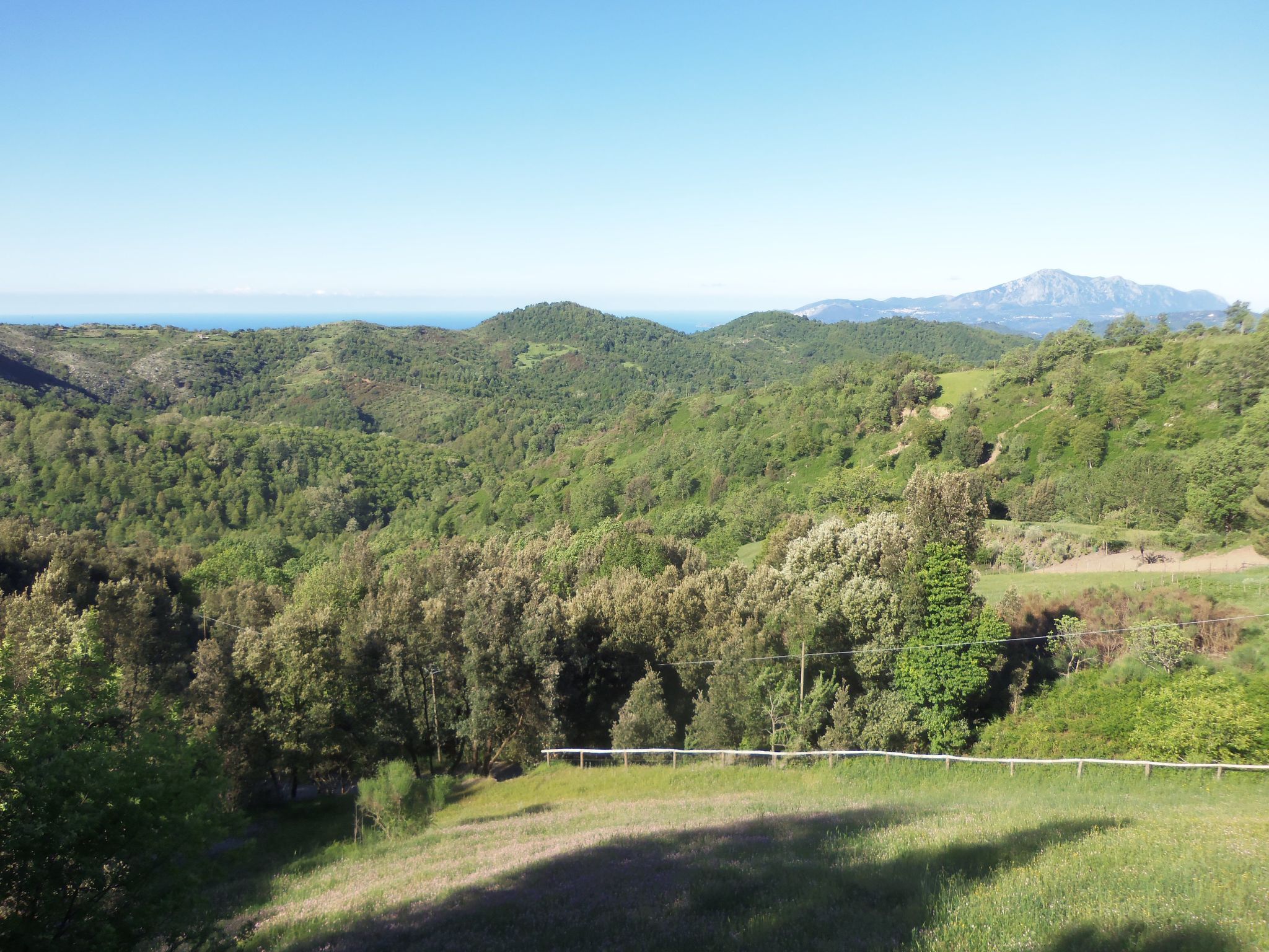 Kleines feines helles Appartment im Gruenen mit Meerblick-Binnen
