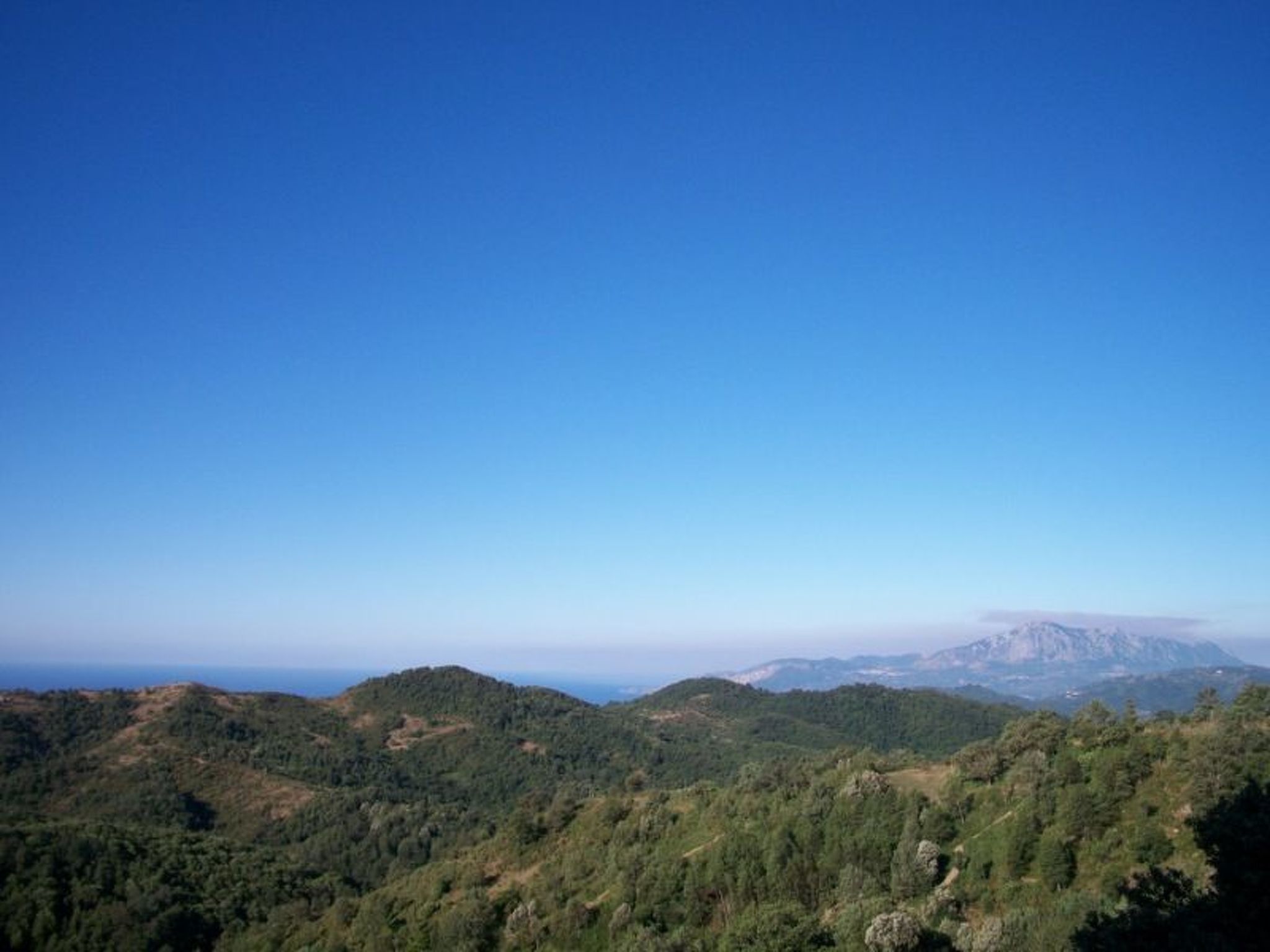 Kleines feines helles Appartment im Gruenen mit Meerblick-Binnen