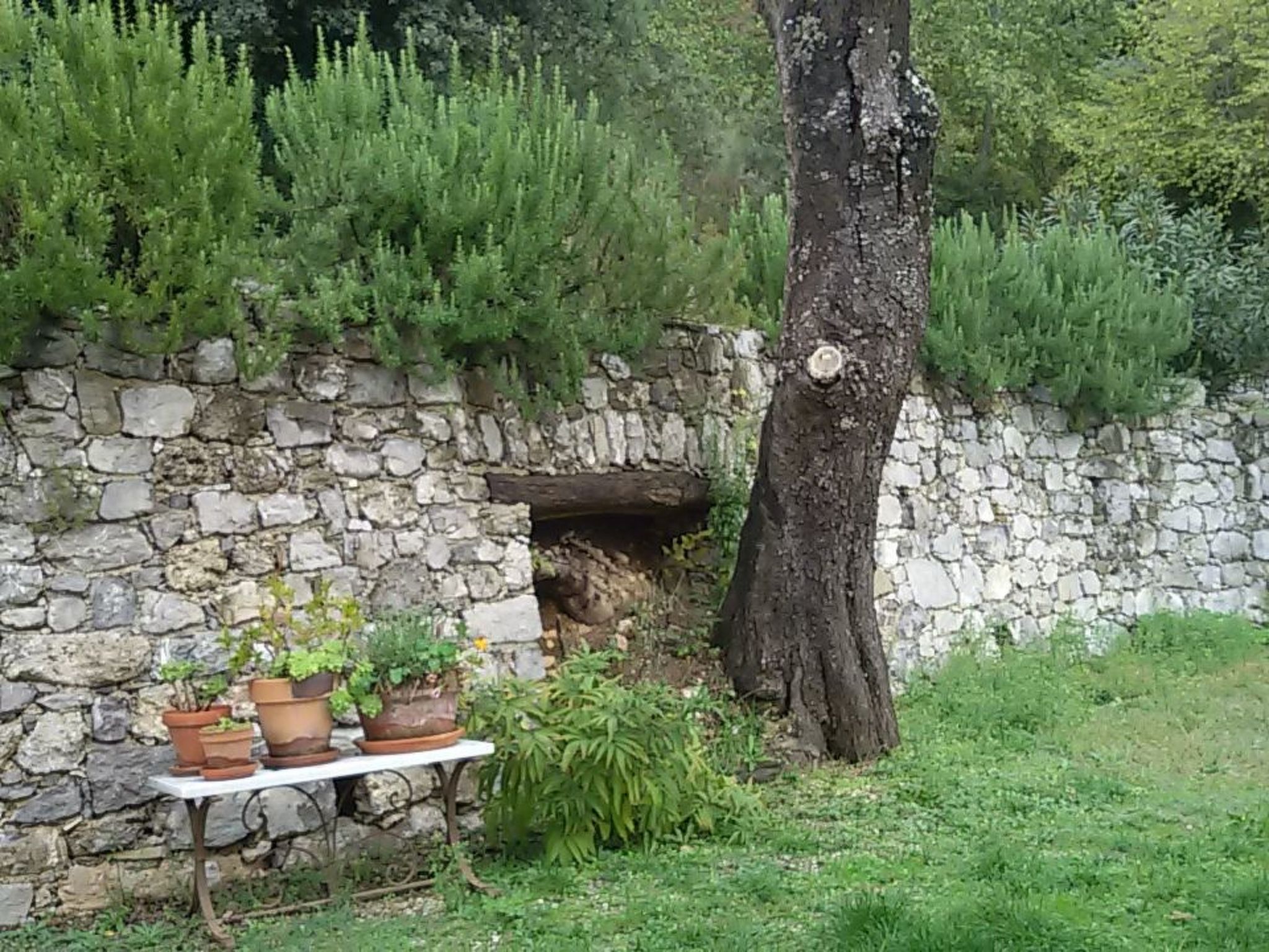 Kleines feines helles Appartment im Gruenen mit Meerblick-Binnen