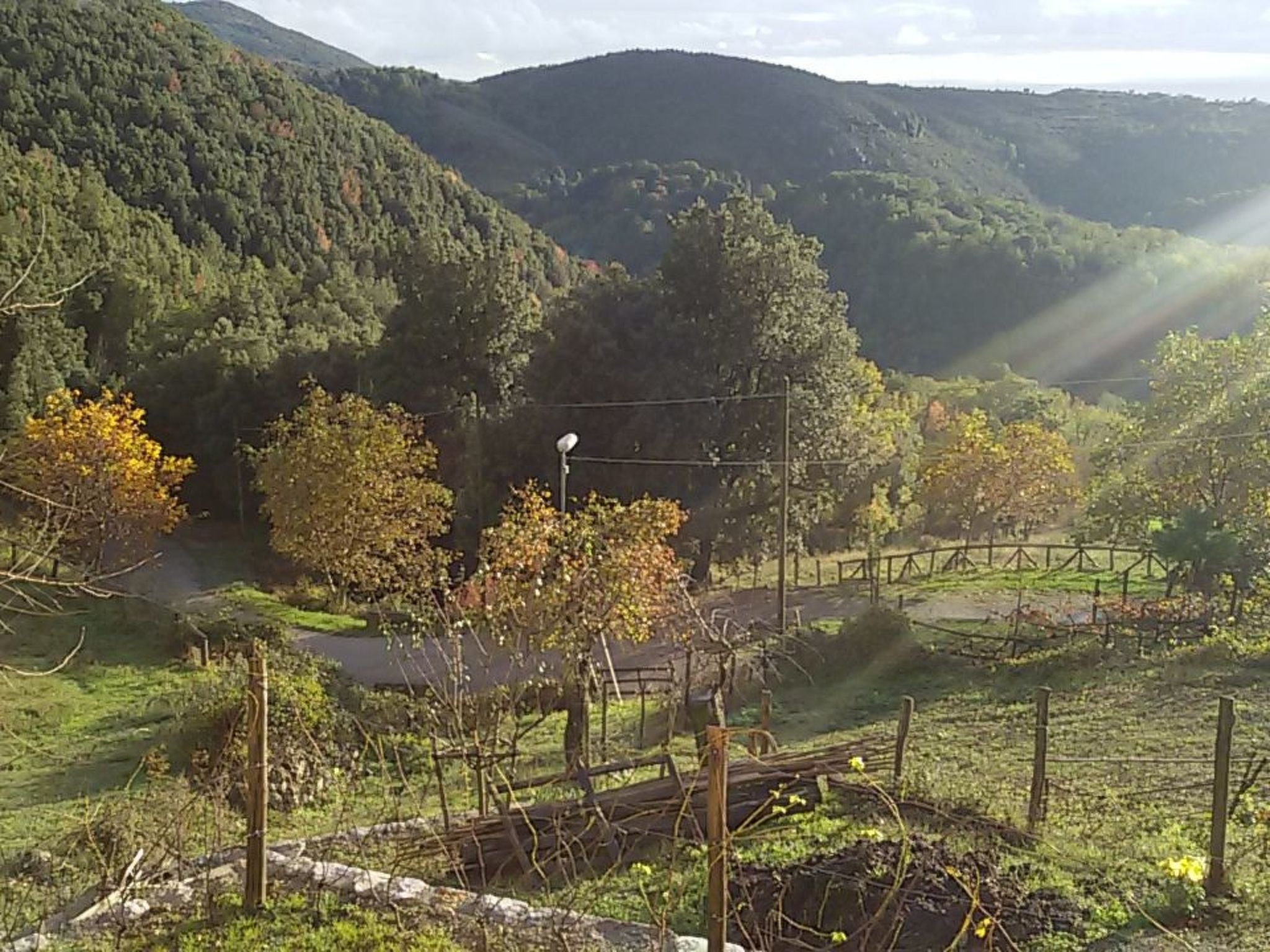 Kleines feines helles Appartment im Gruenen mit Meerblick-Binnen